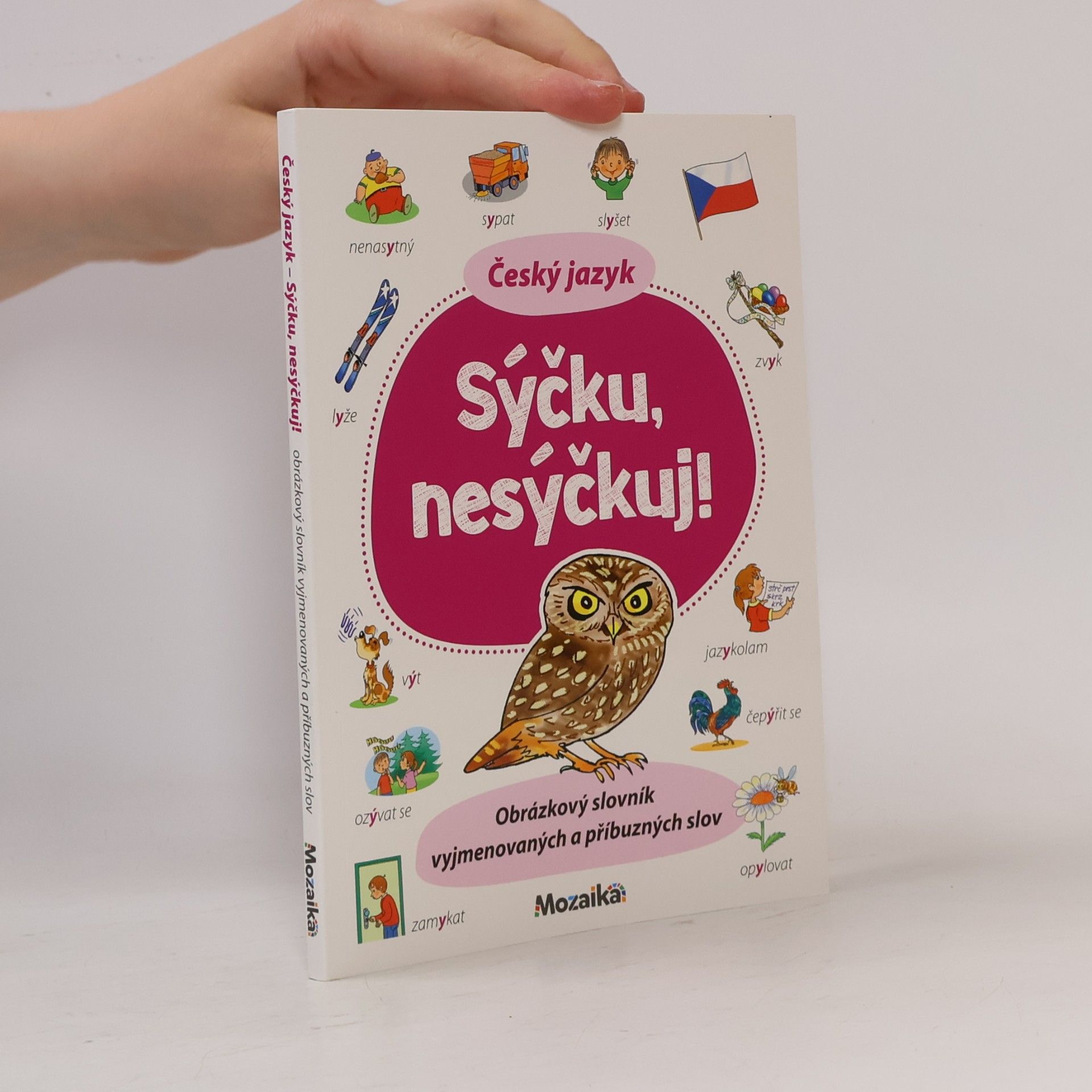 Kolektiv autorů Český jazyk : sýčku, nesýčkuj!