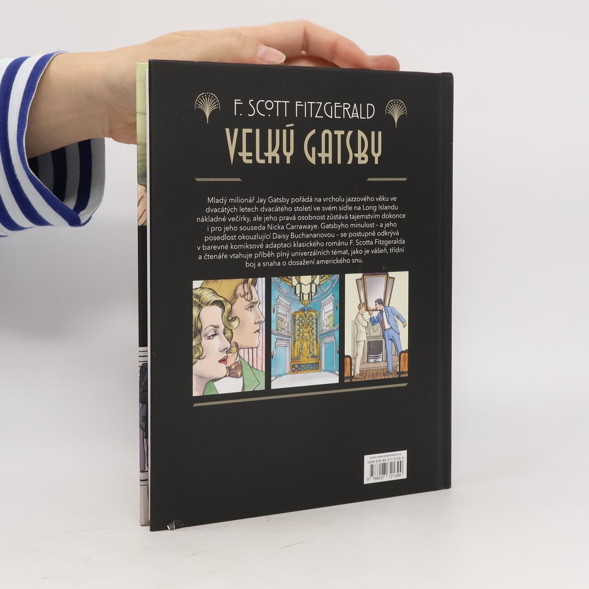 Francis Scott Fitzgerald Velký Gatsby : grafický román