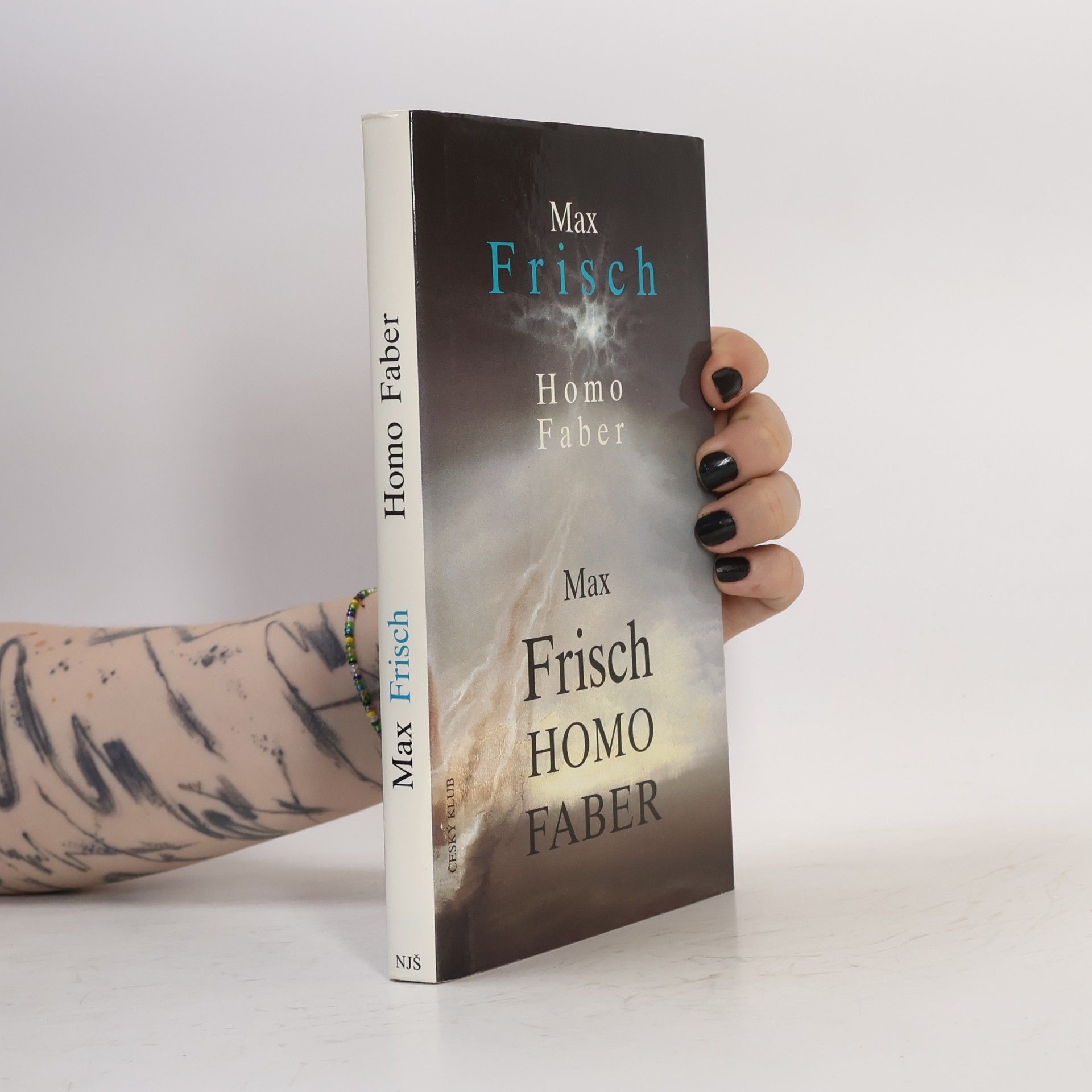 Max Frisch Homo Faber