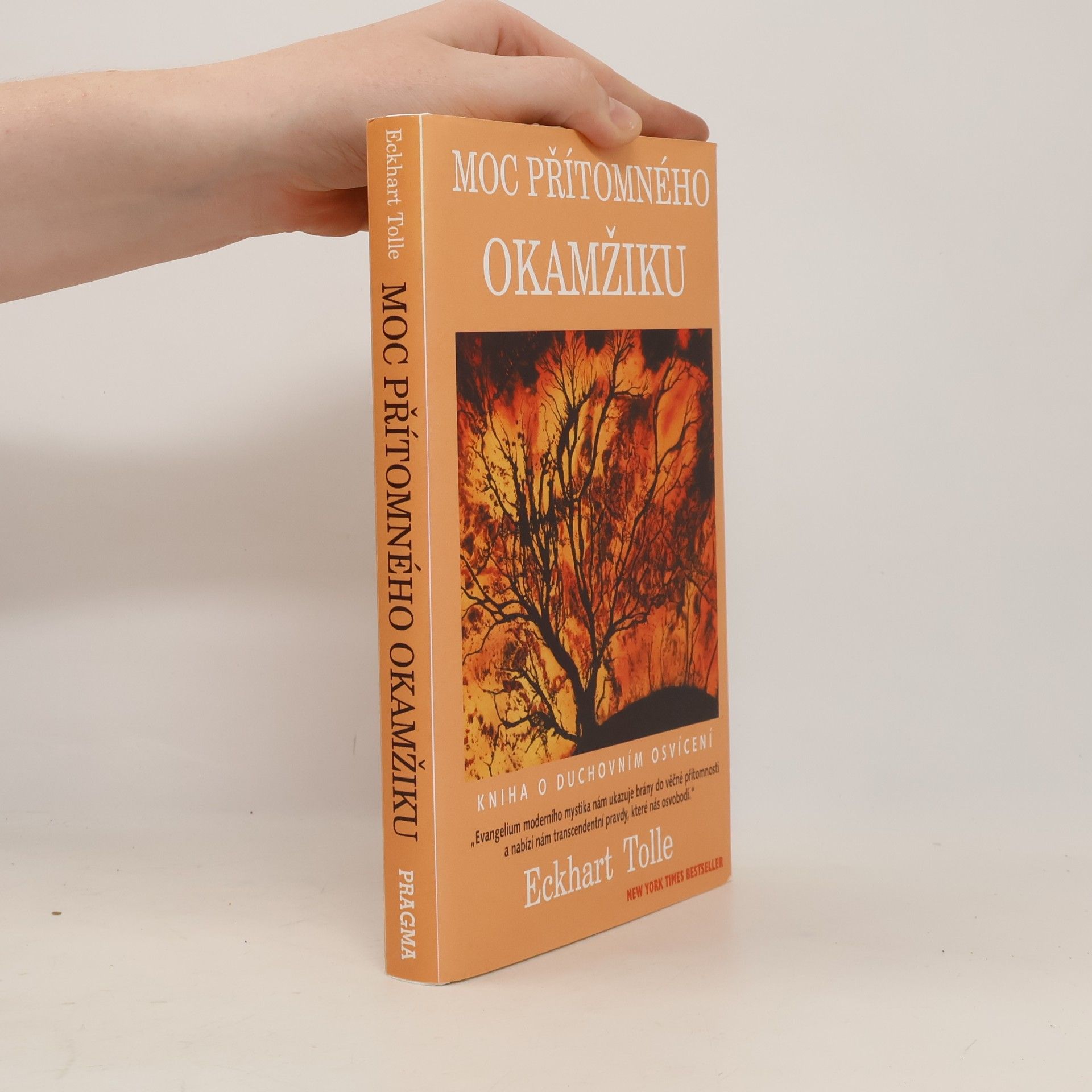Eckhart Tolle Moc přítomného okamžiku
