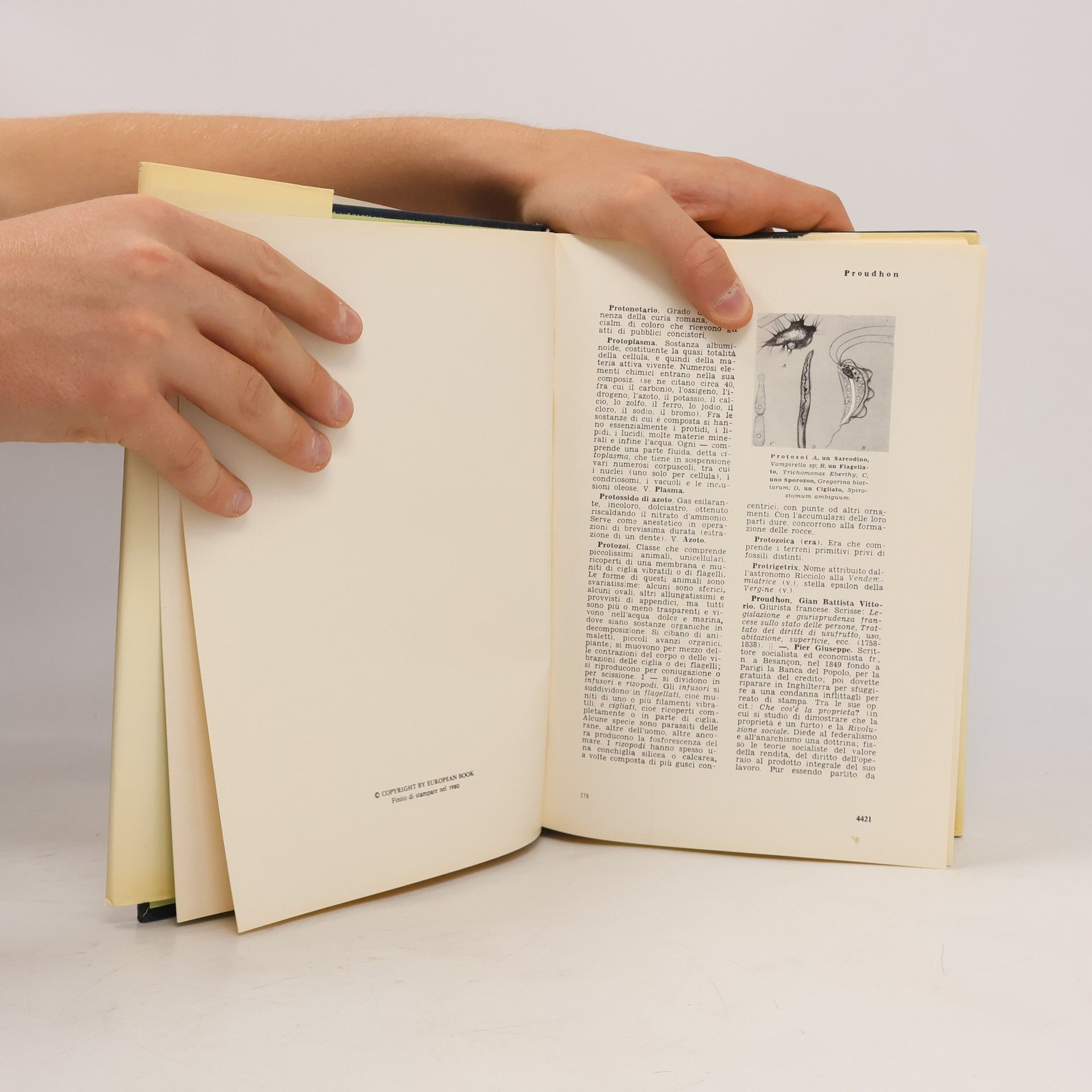 AA.VV. Grande enciclopedia universale XII
