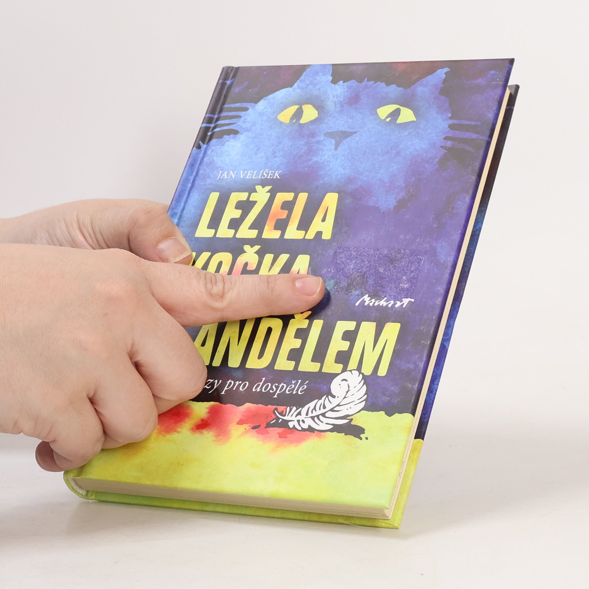 Jan Velíšek Ležela kočka s andělem a jiné prózy pro dospělé