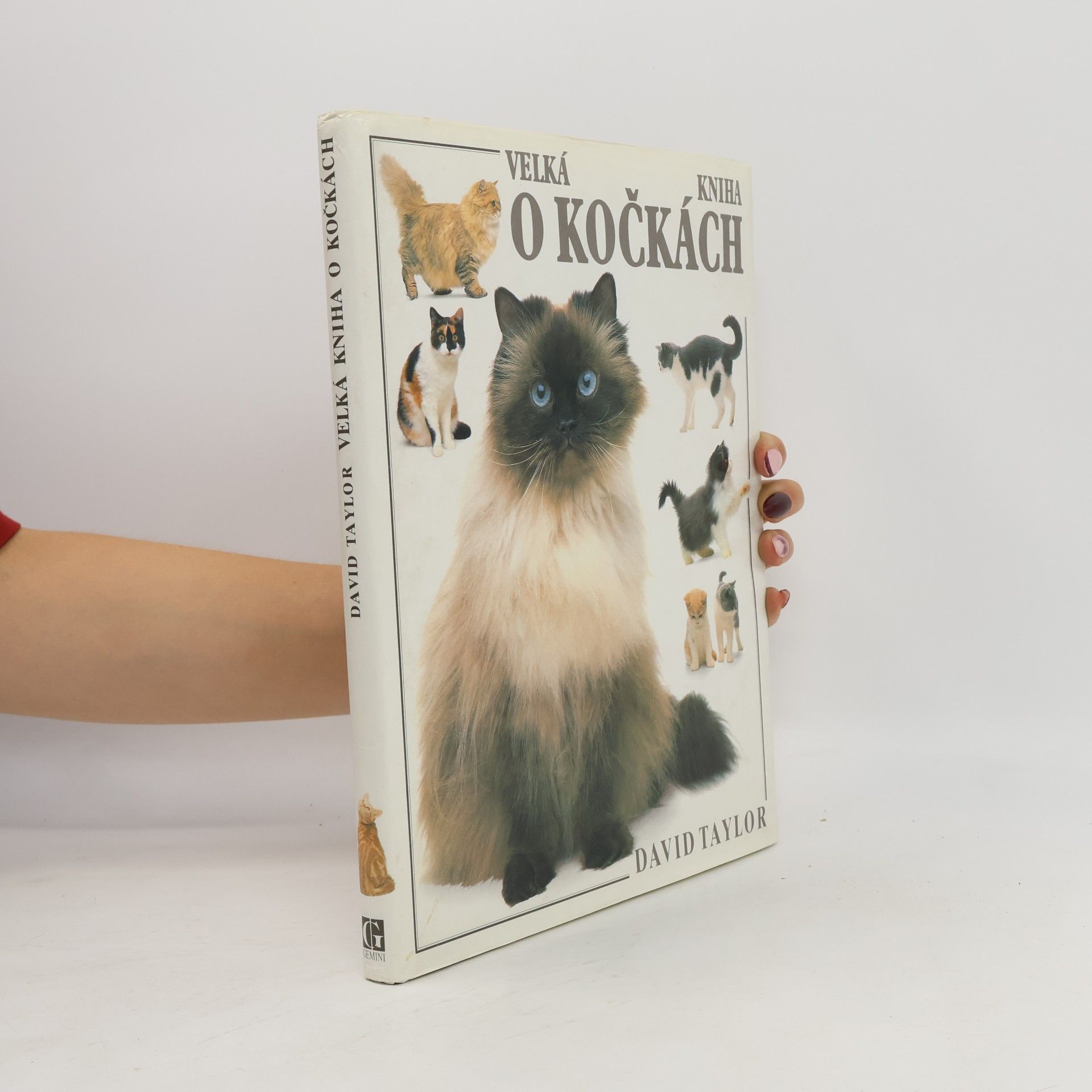 Velká kniha o kočkách