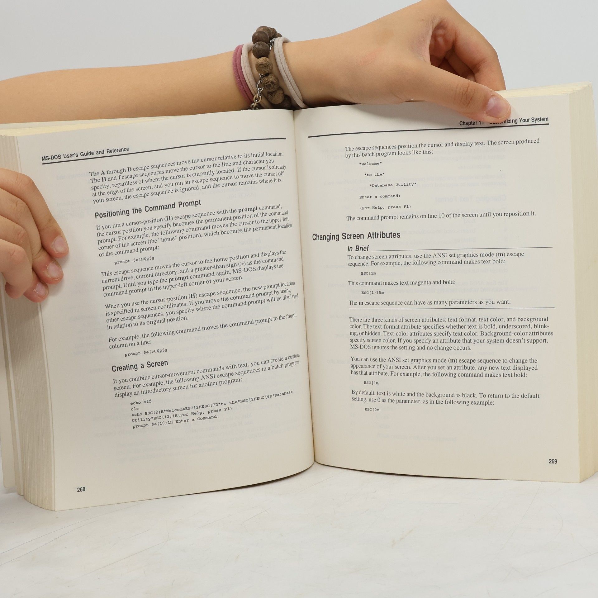 Collectif d'auteurs DTK COMPUTER 5.0. Microsoft MS-DOS User´s Guide and Reference