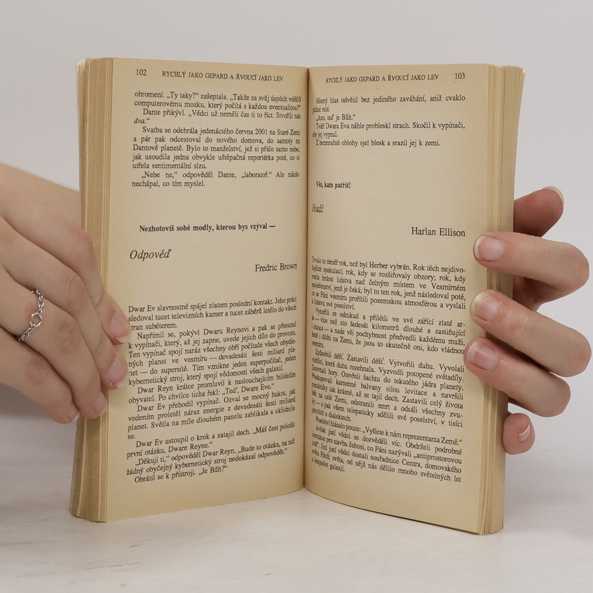 Autorenkollektiv Rychlý jako gepard a řvoucí jako lev