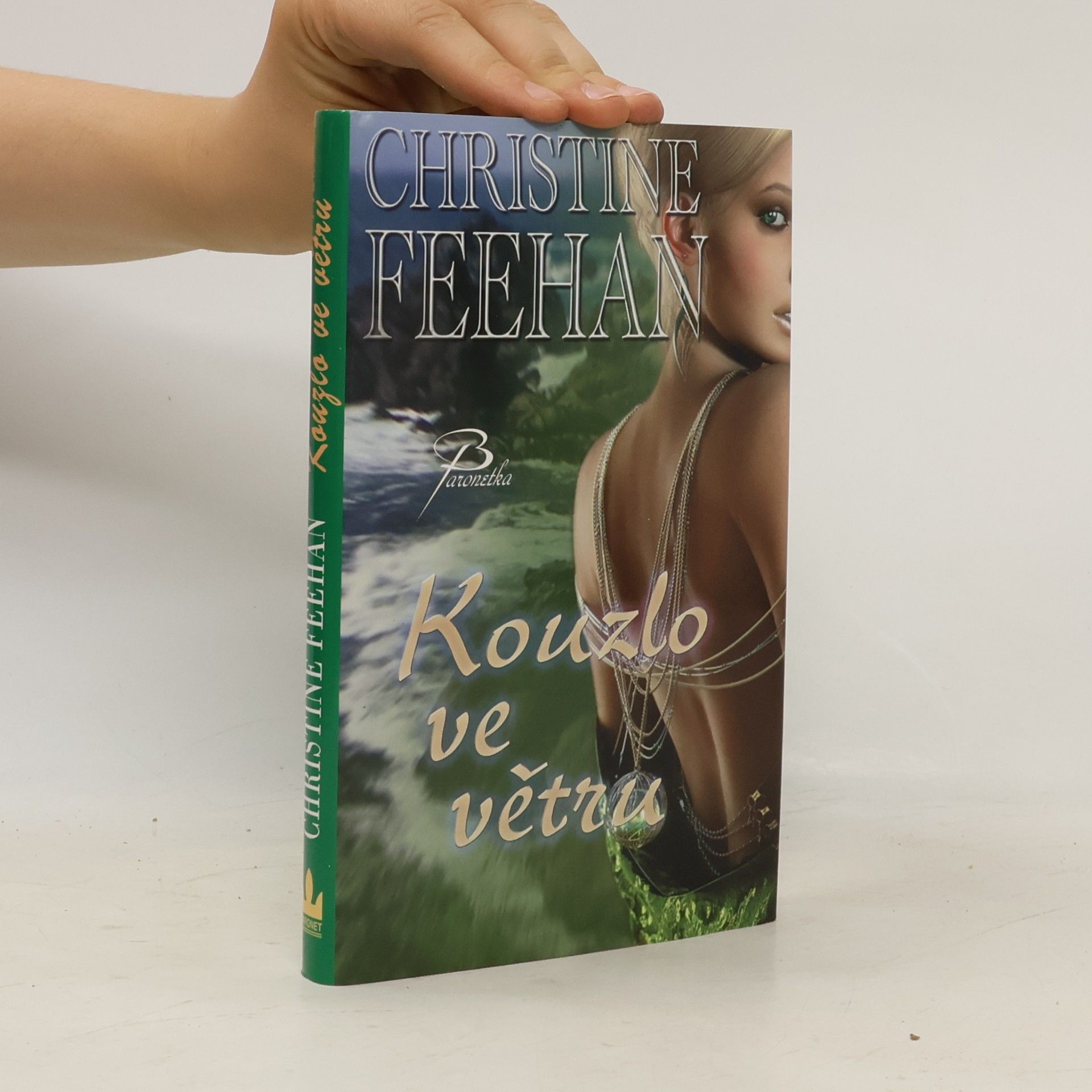 Christine Feehan Kouzlo ve větru