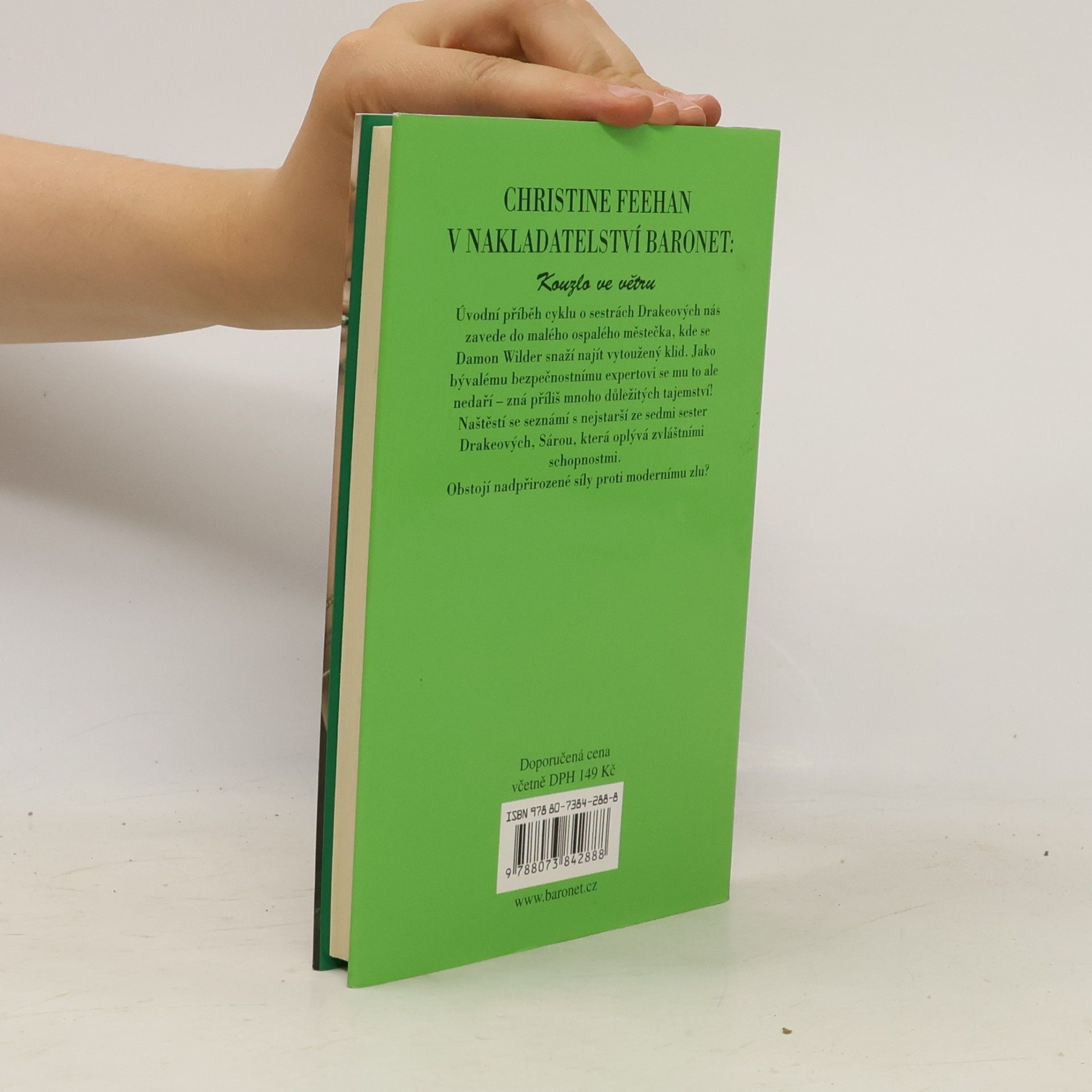 Christine Feehan Kouzlo ve větru