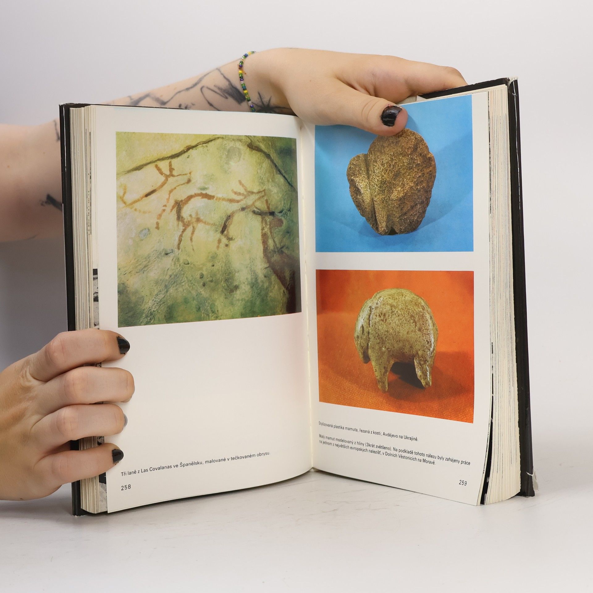 Jan Jelínek Velký obrazový atlas pravěkého člověka