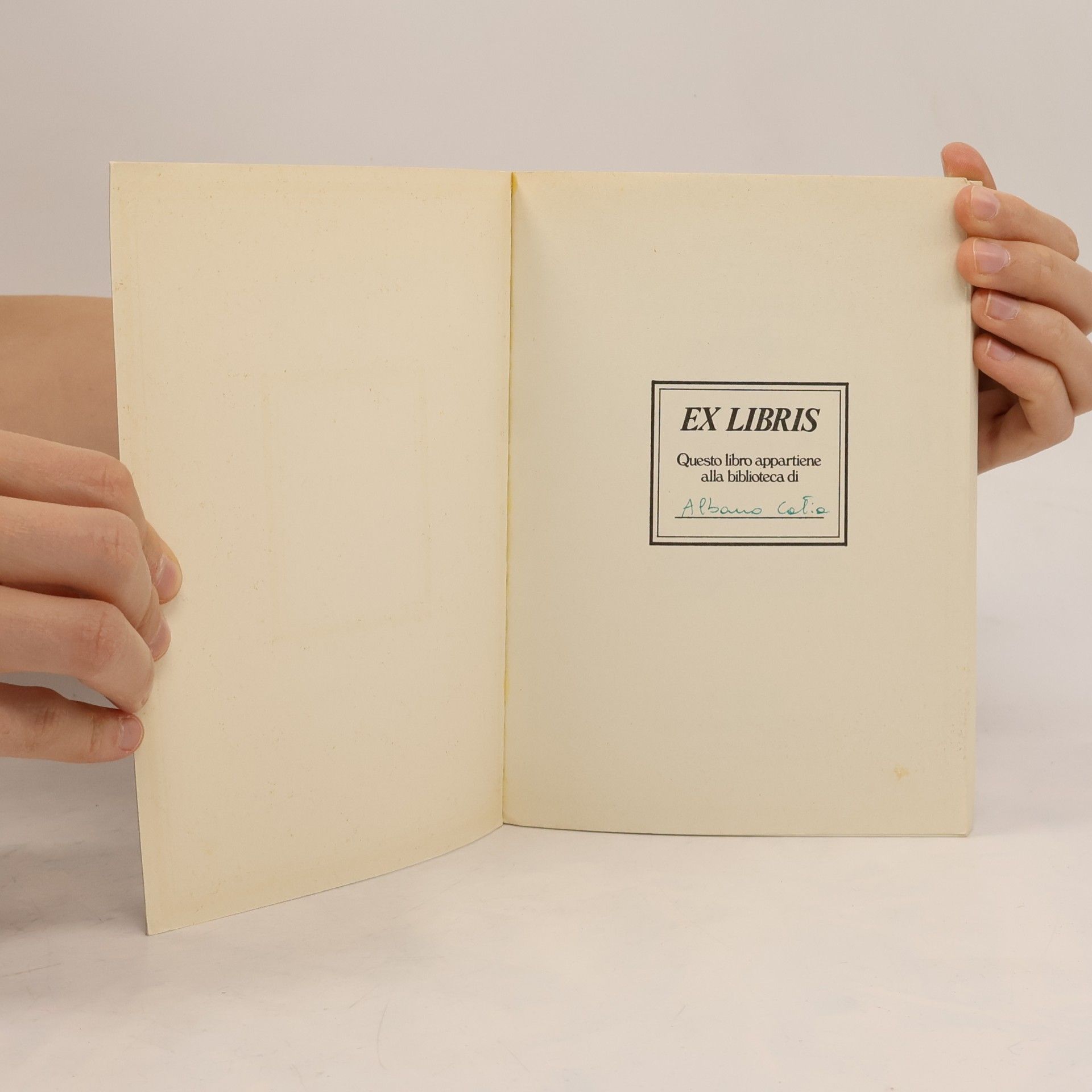 Autorenkollektiv Le cento pagine più belle di Dostoevskij