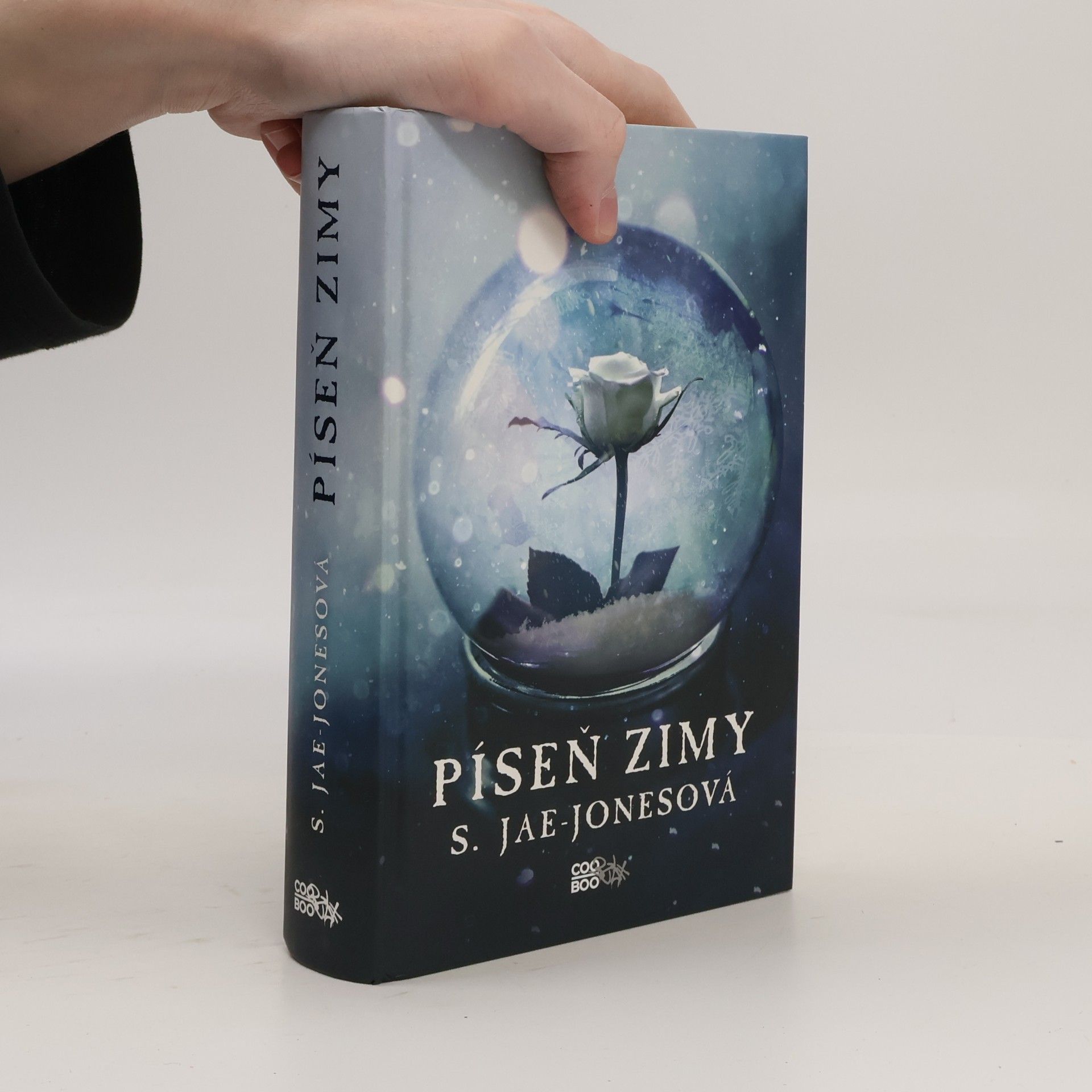 S. Jae-Jones Píseň zimy