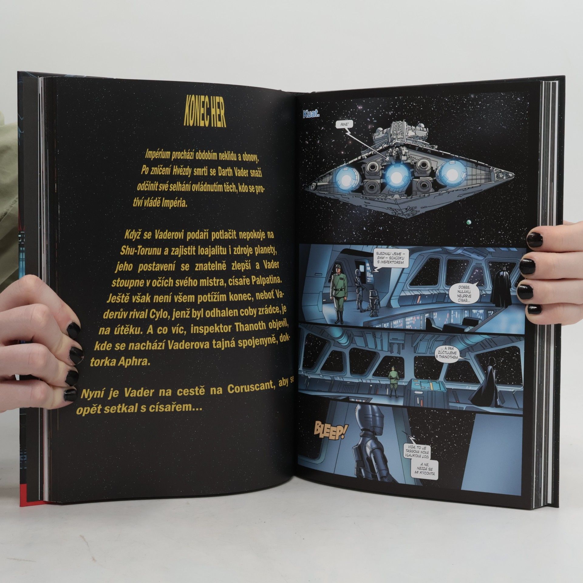 Leinil Francis Yu Star Wars: Válka na Shu-Torunu / Konec her