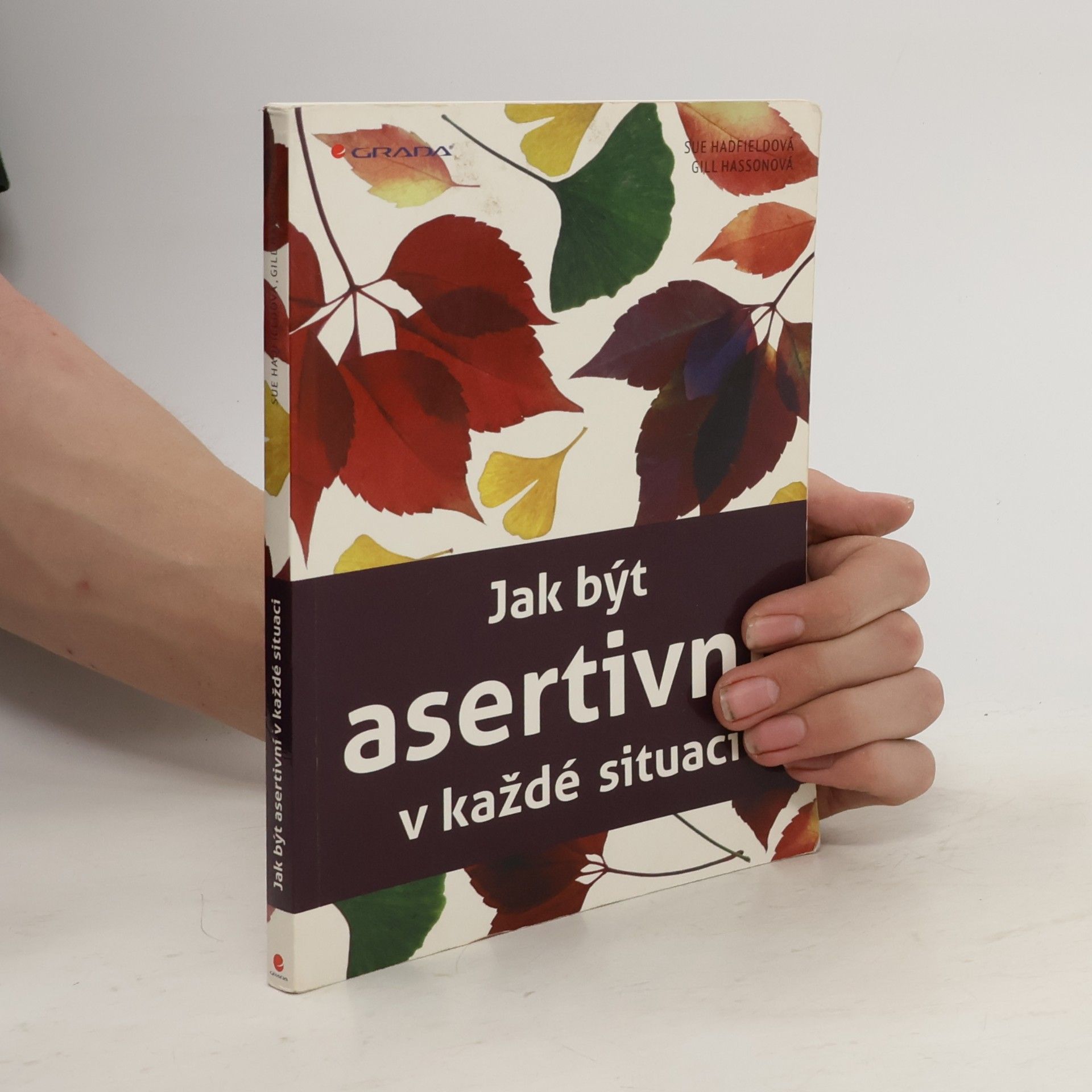 Kolektiv autorů Jak být asertivní v každé situaci