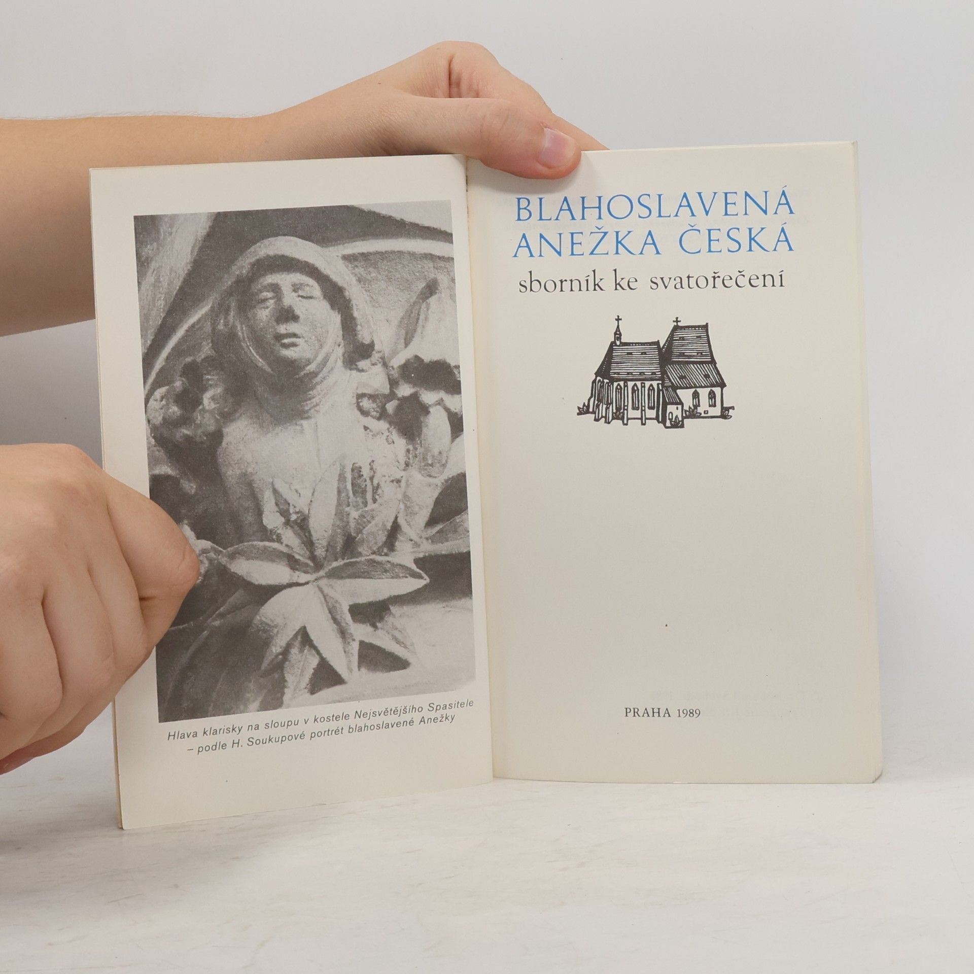 Bohumil Svoboda Blahoslavená Anežka Česká