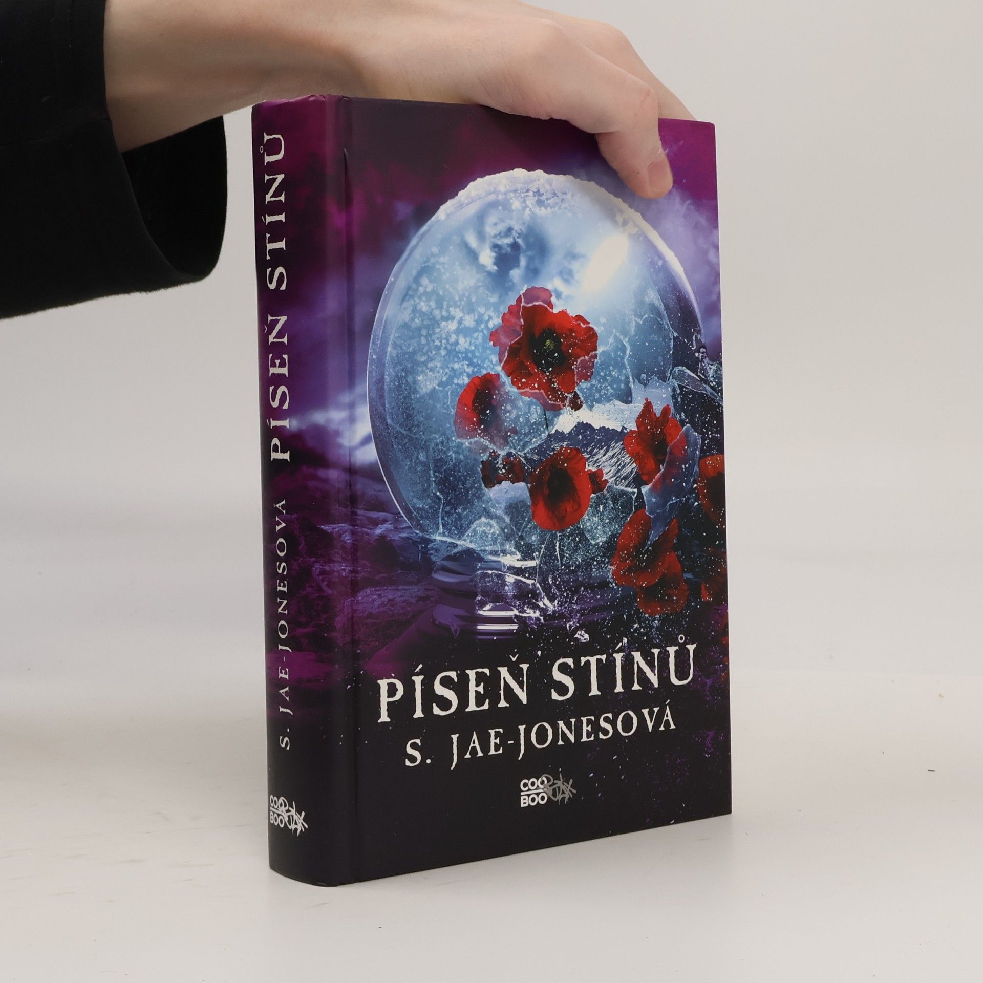 S. Jae-Jones Píseň stínů