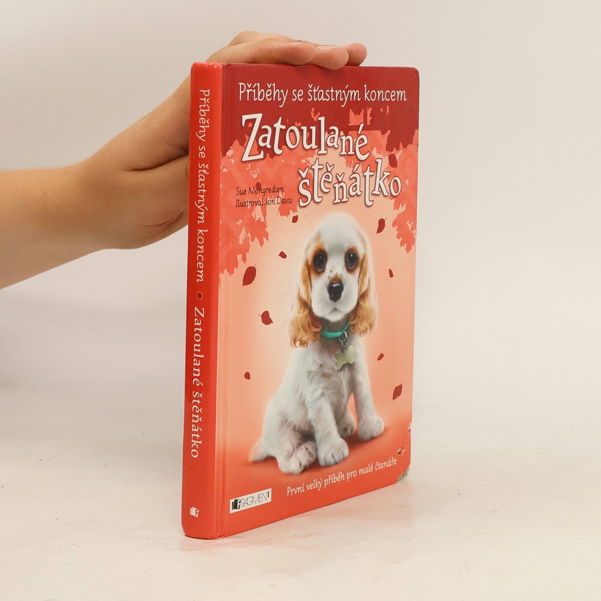 Lucy Diamond Zatoulané štěňátko