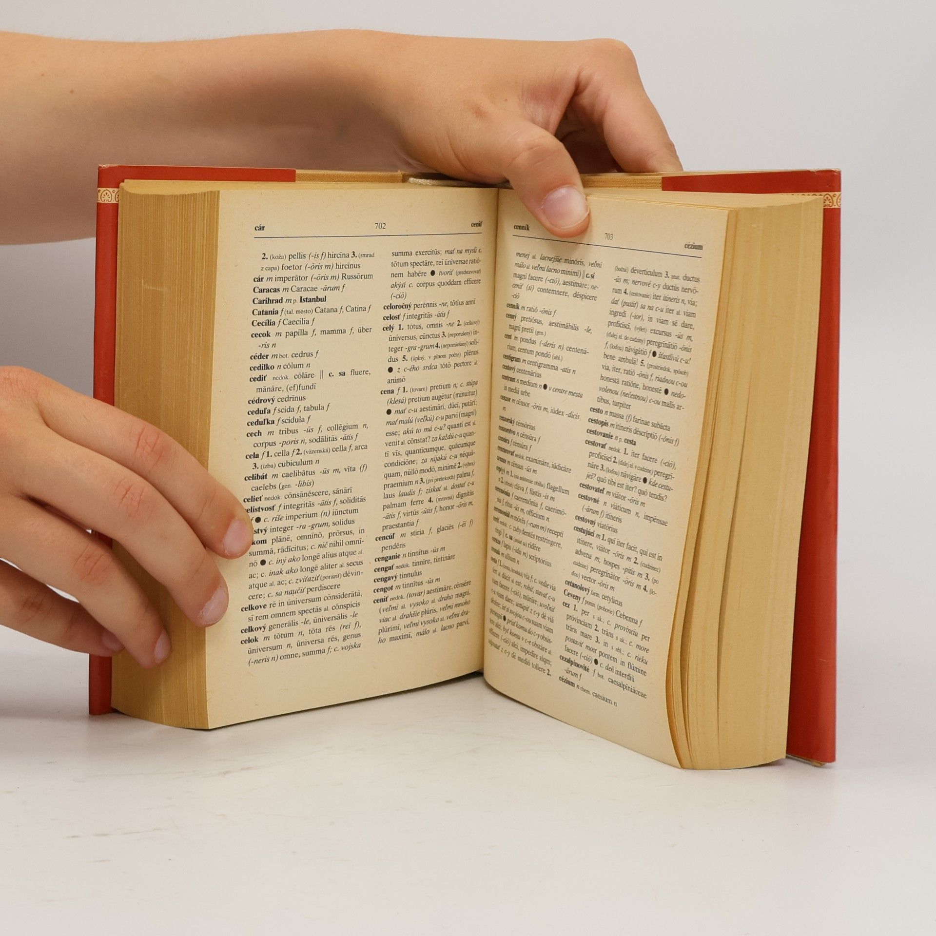Autorenkollektiv Latinsko-slovenský a slovensko-latinský slovník