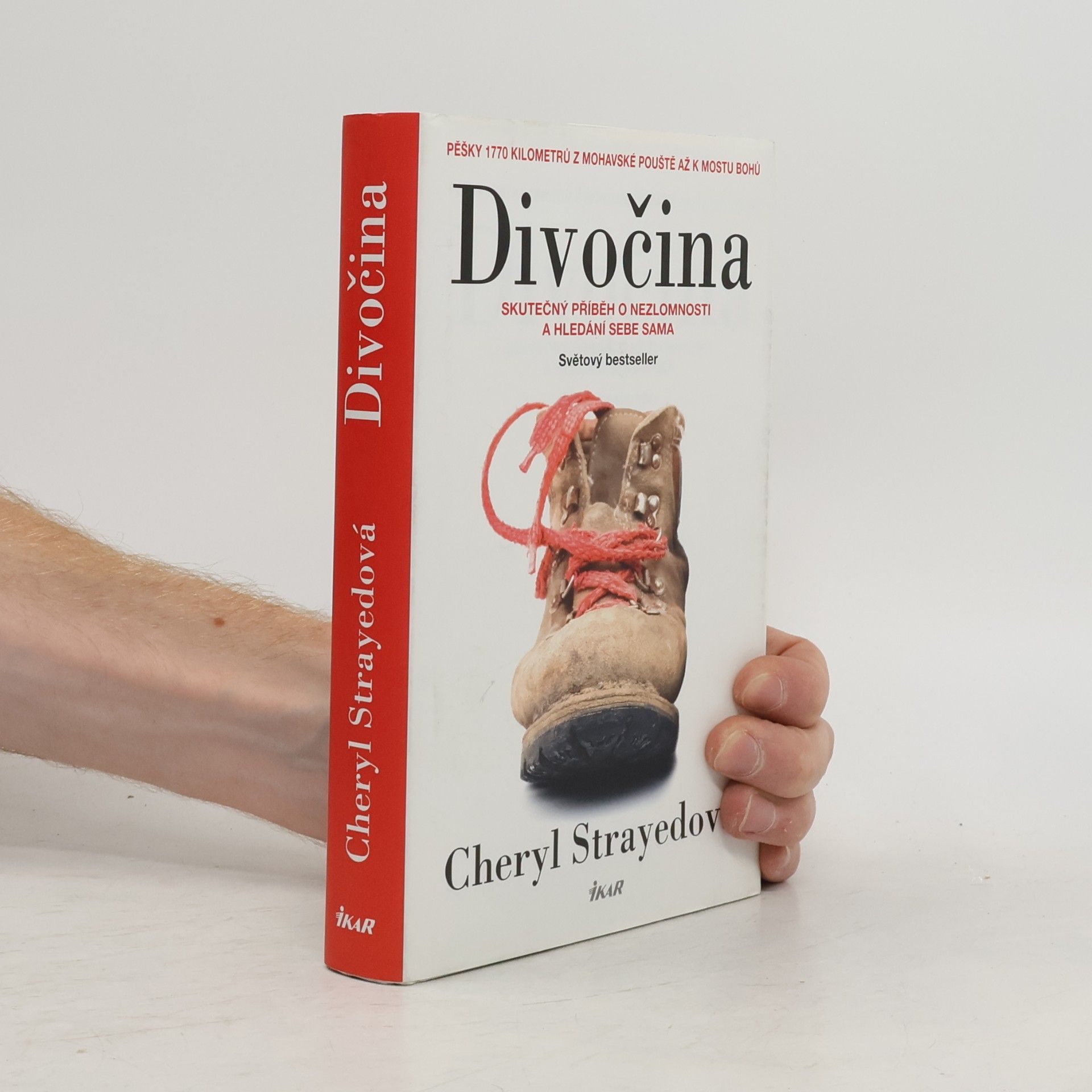 Cheryl Strayed Divočina