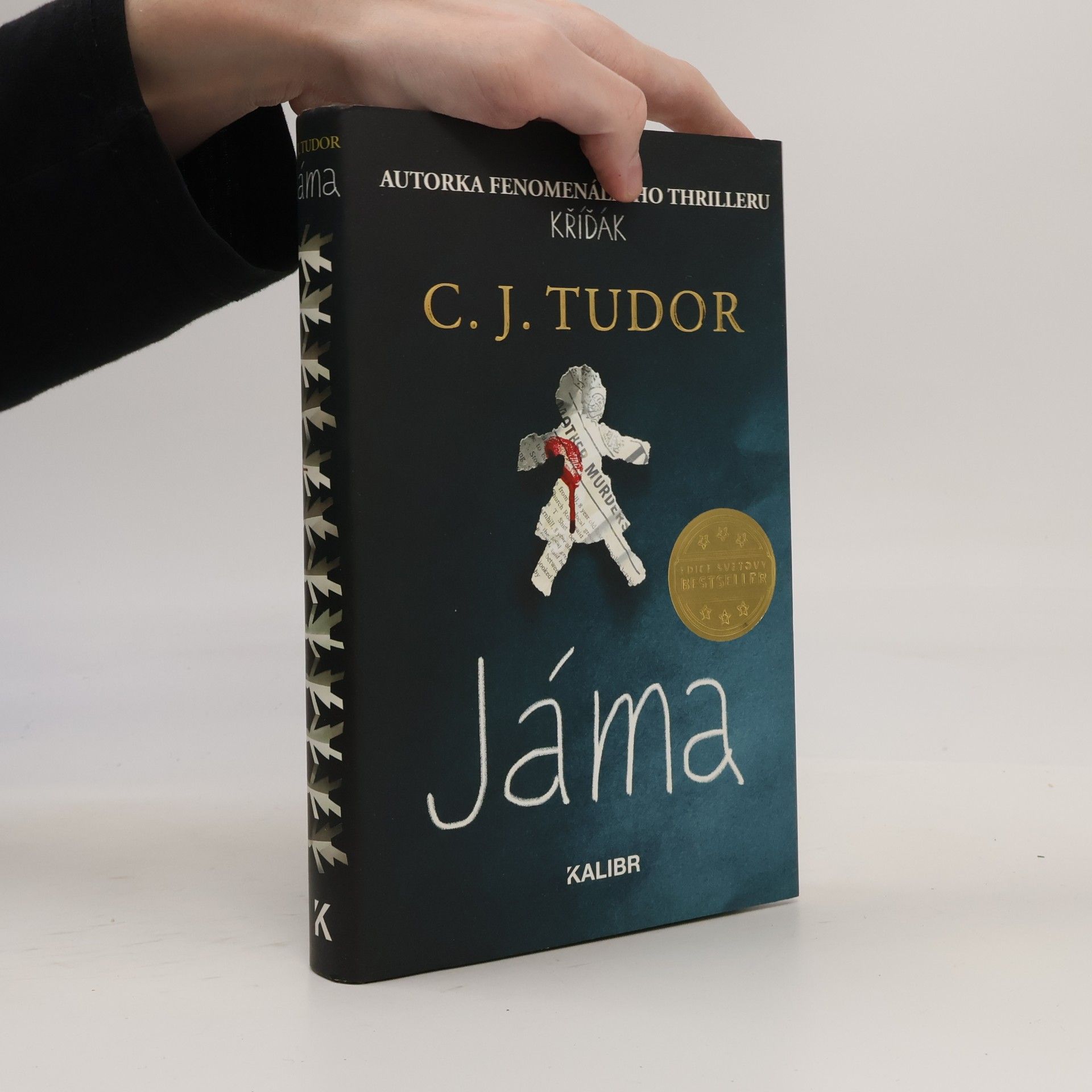 C.J. Tudor Jáma