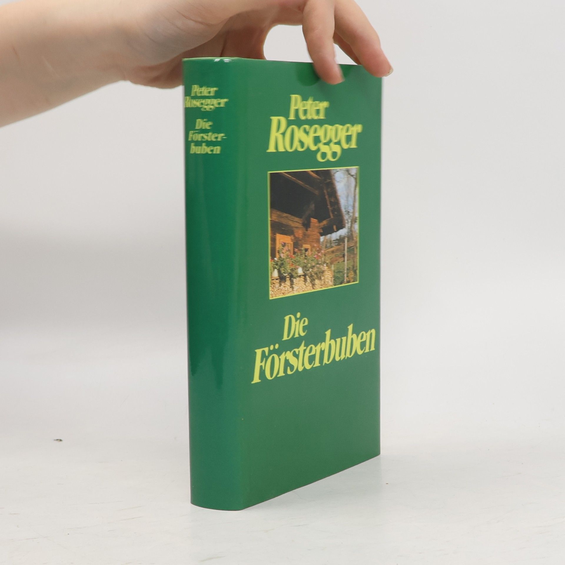 Peter Rosegger Die Försterbuben