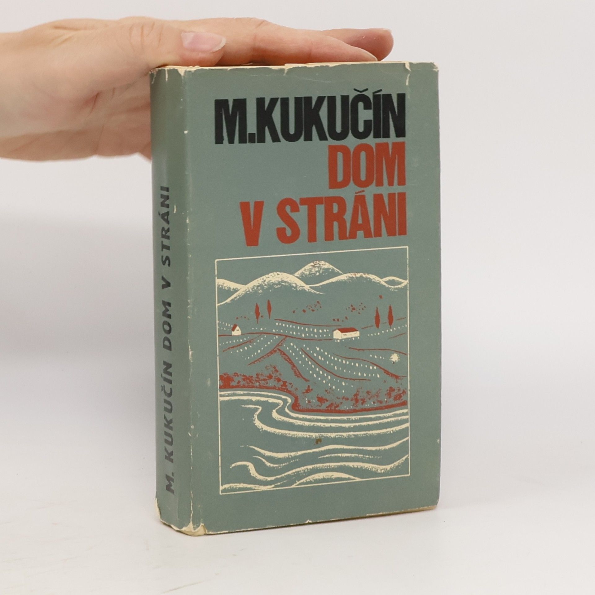 Martin Kukučín Dom v stráni