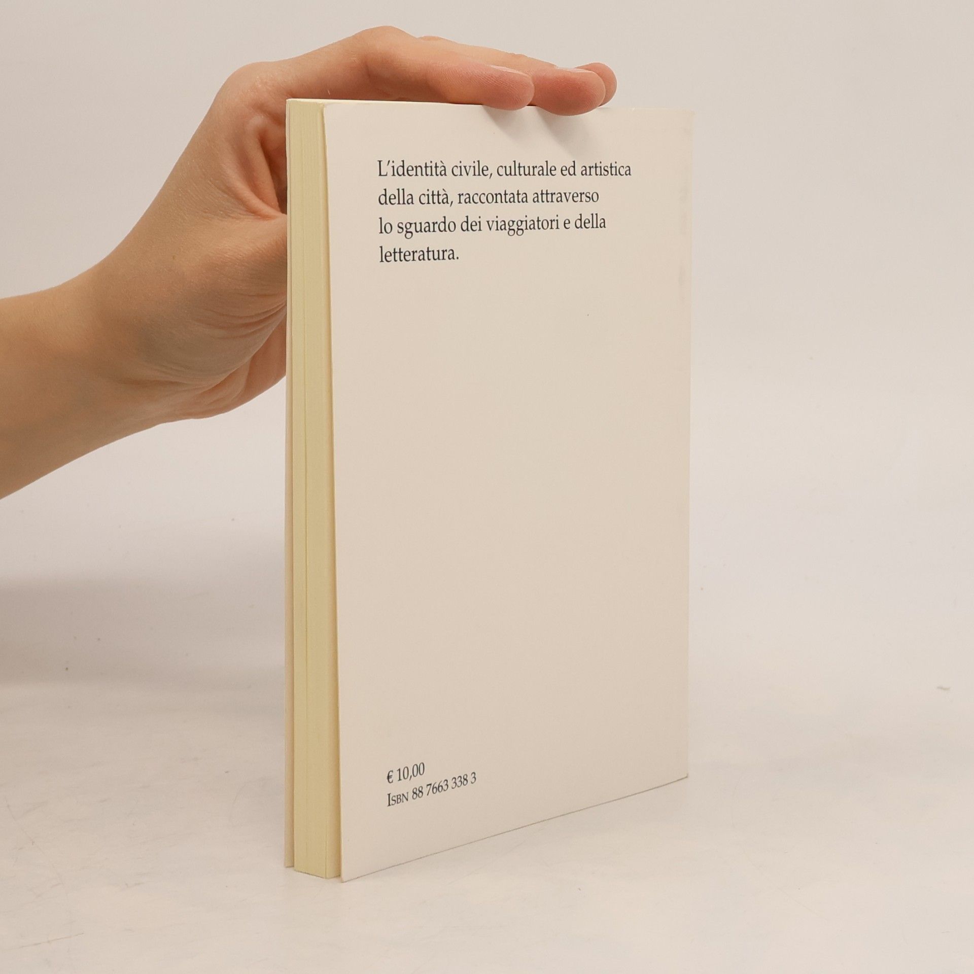 Nando Cecini Guida letteraria di Fermo