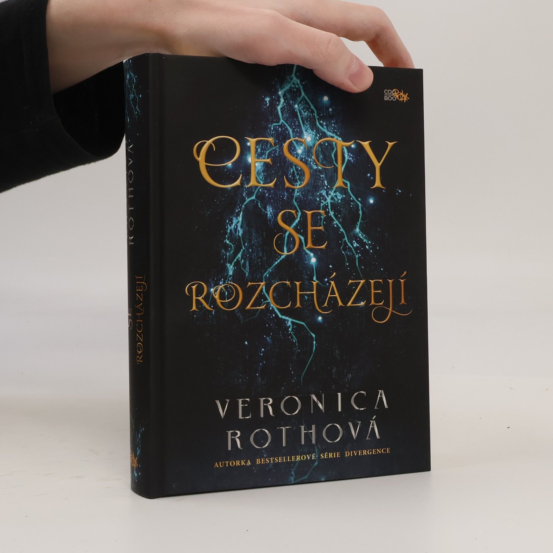Veronica Roth Cesty se rozcházejí