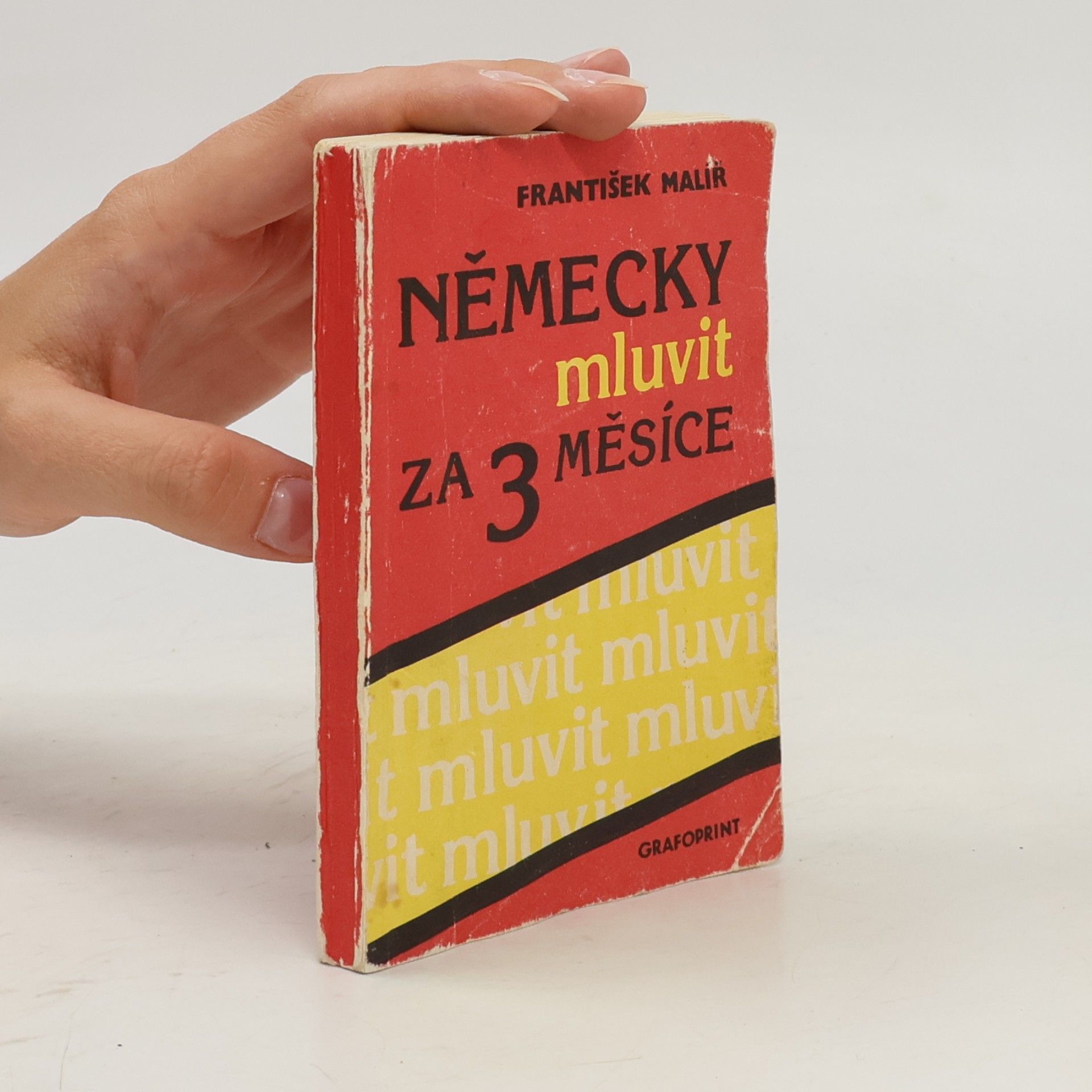 František Malíř Německy mluvit za 3 měsíce
