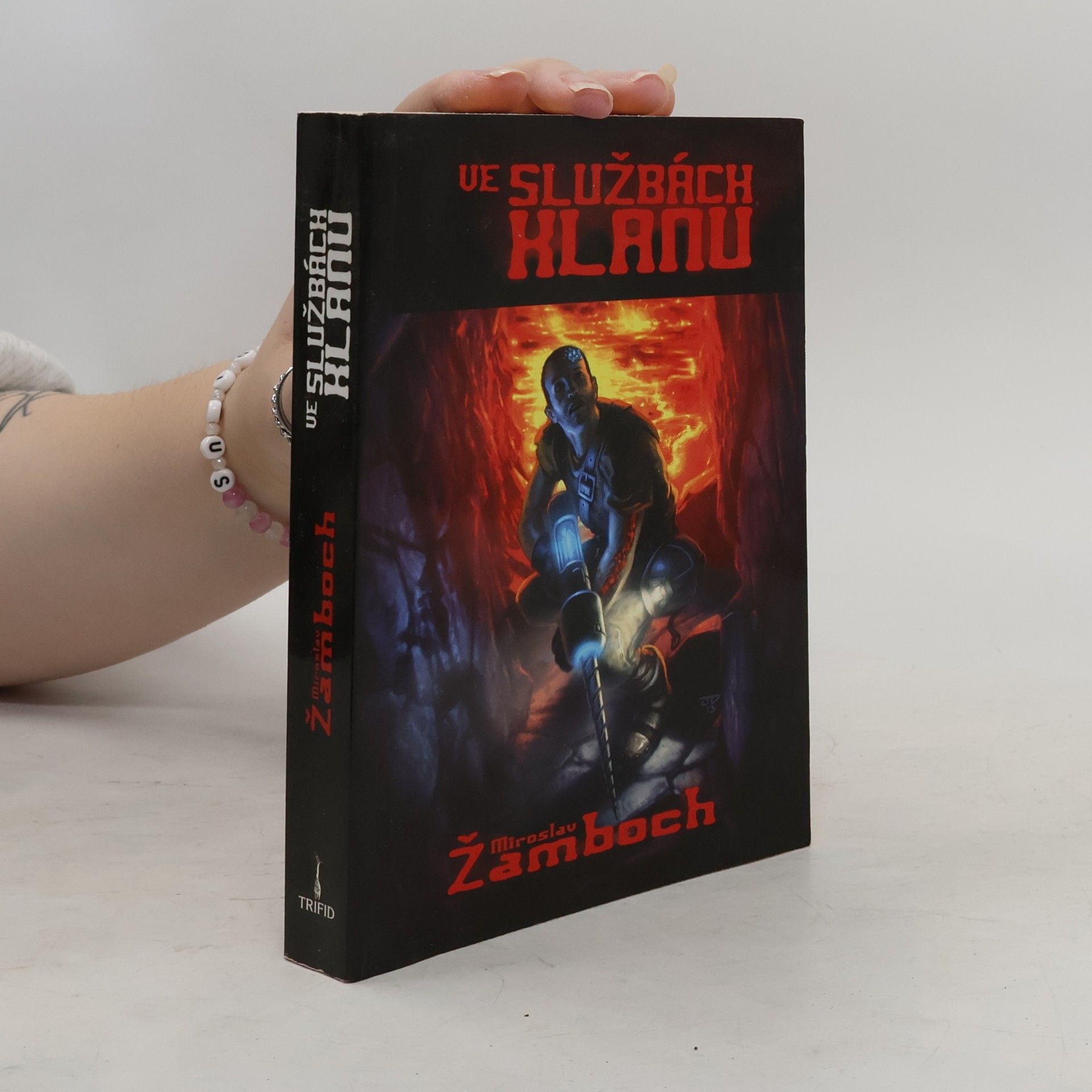 Miroslav Žamboch Ve službách klanu