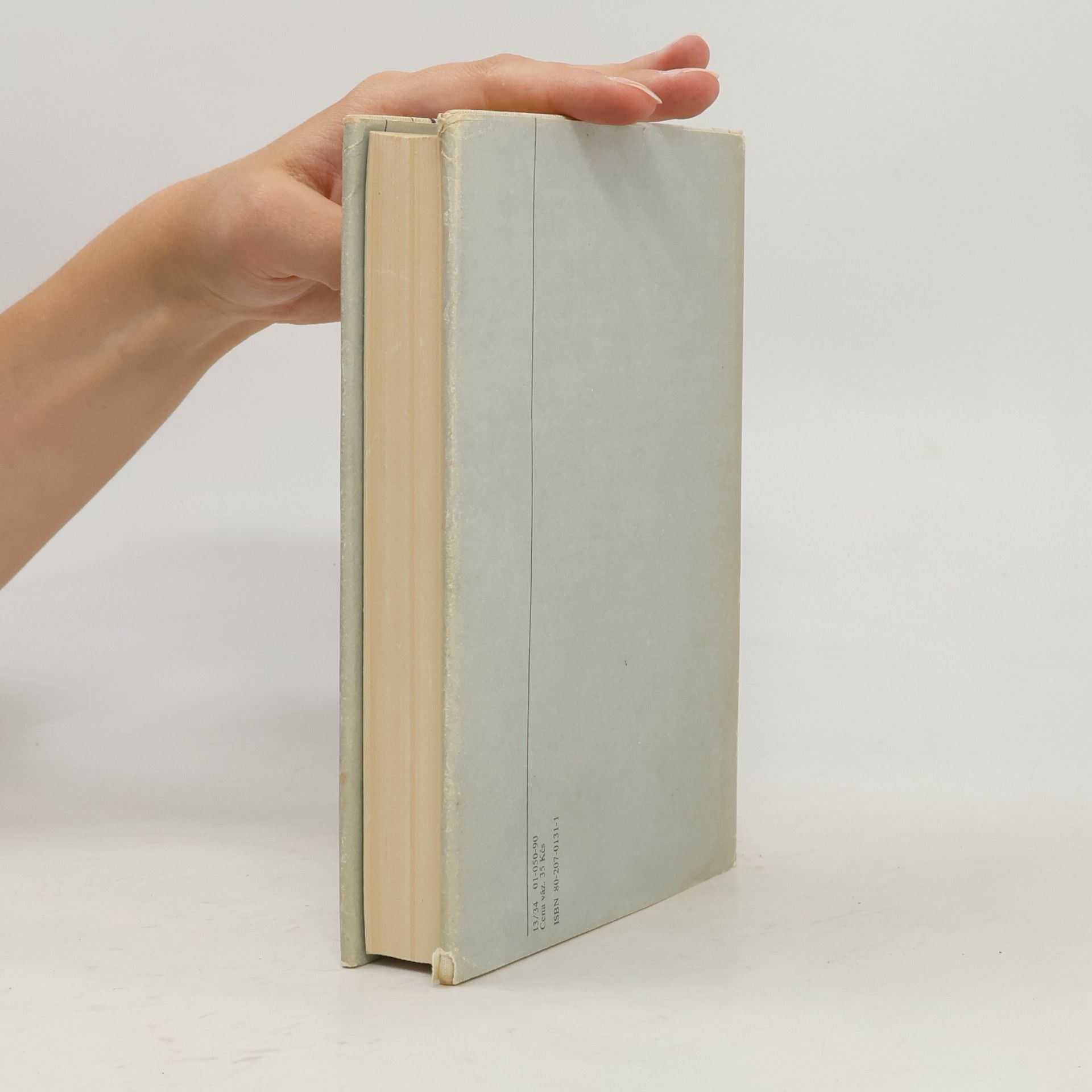 John Irving Svět podle Garpa