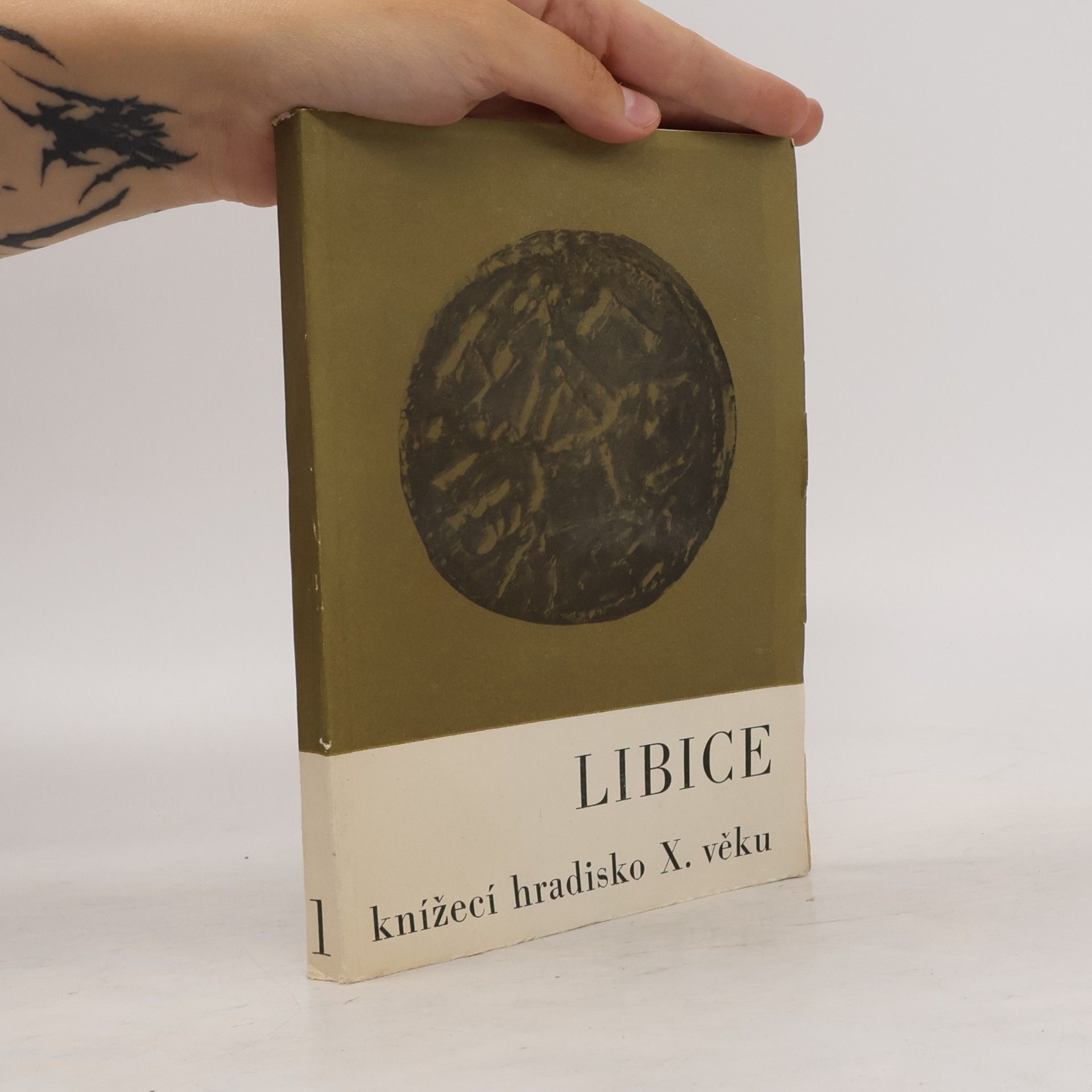 Rudolf Turek Libice. Knížecí hradisko X. věku