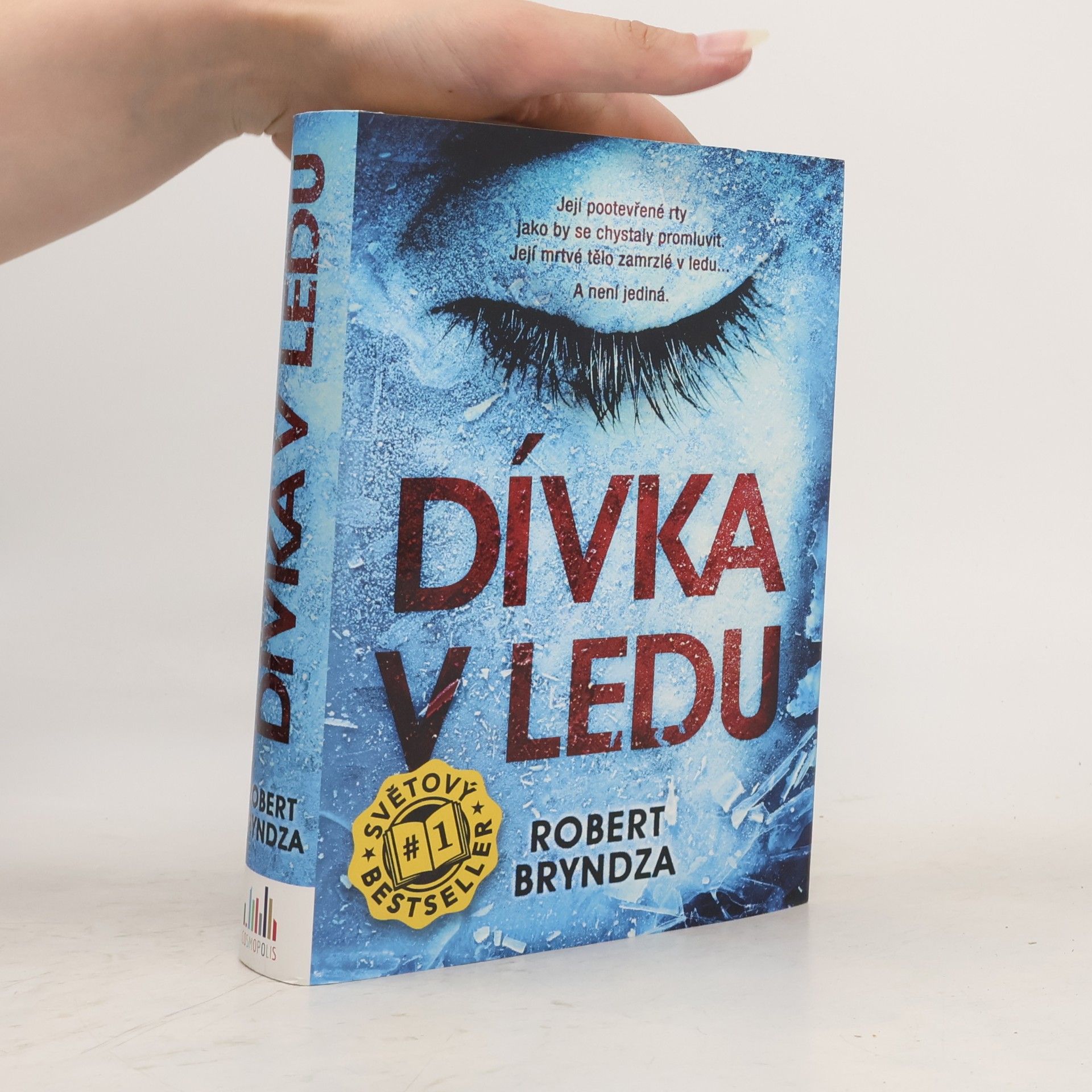 Robert Bryndza Dívka v ledu