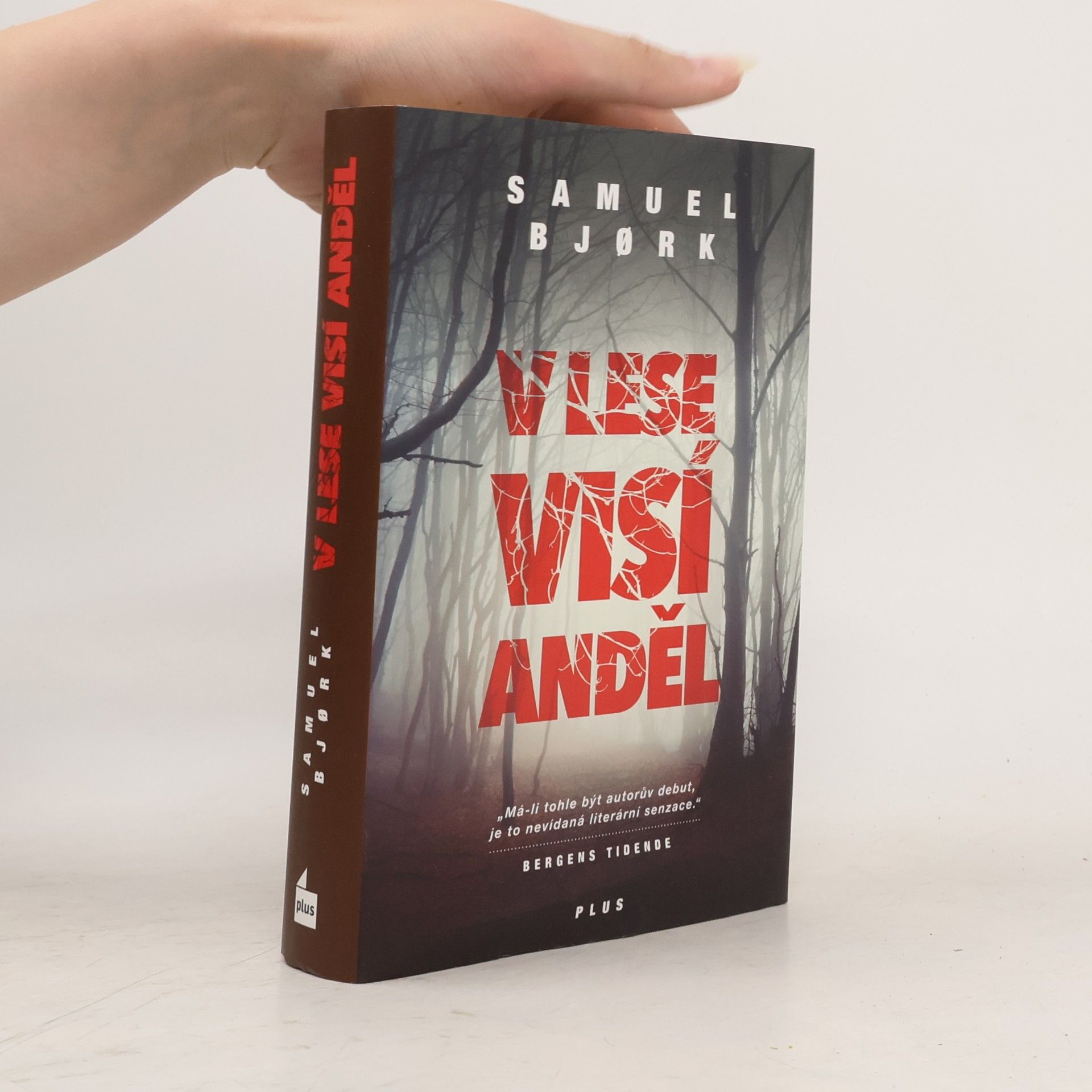 Samuel Bjork V lese visí anděl