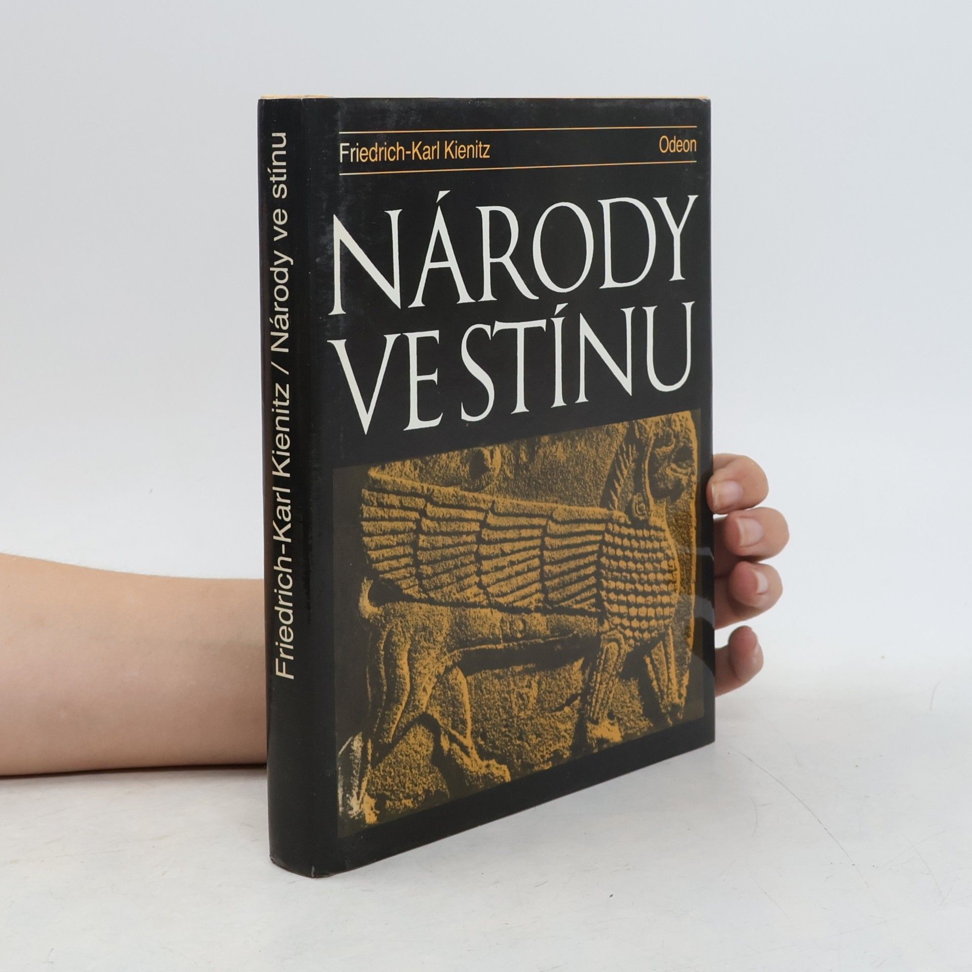 Friedrich Karl Kienitz Národy ve stínu