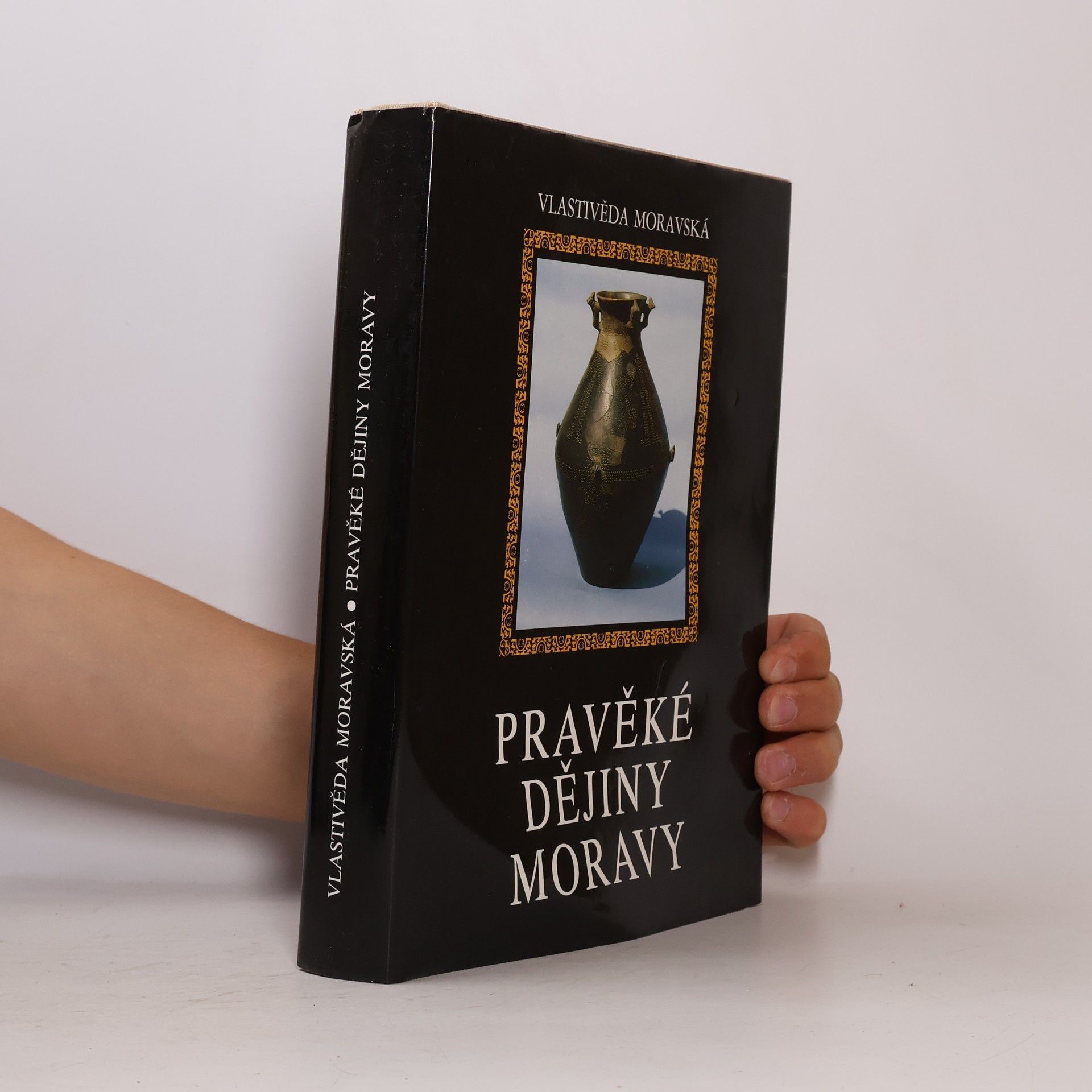 Vladimír Podborský Pravěké dějiny Moravy, Nová řada - Sv. 3