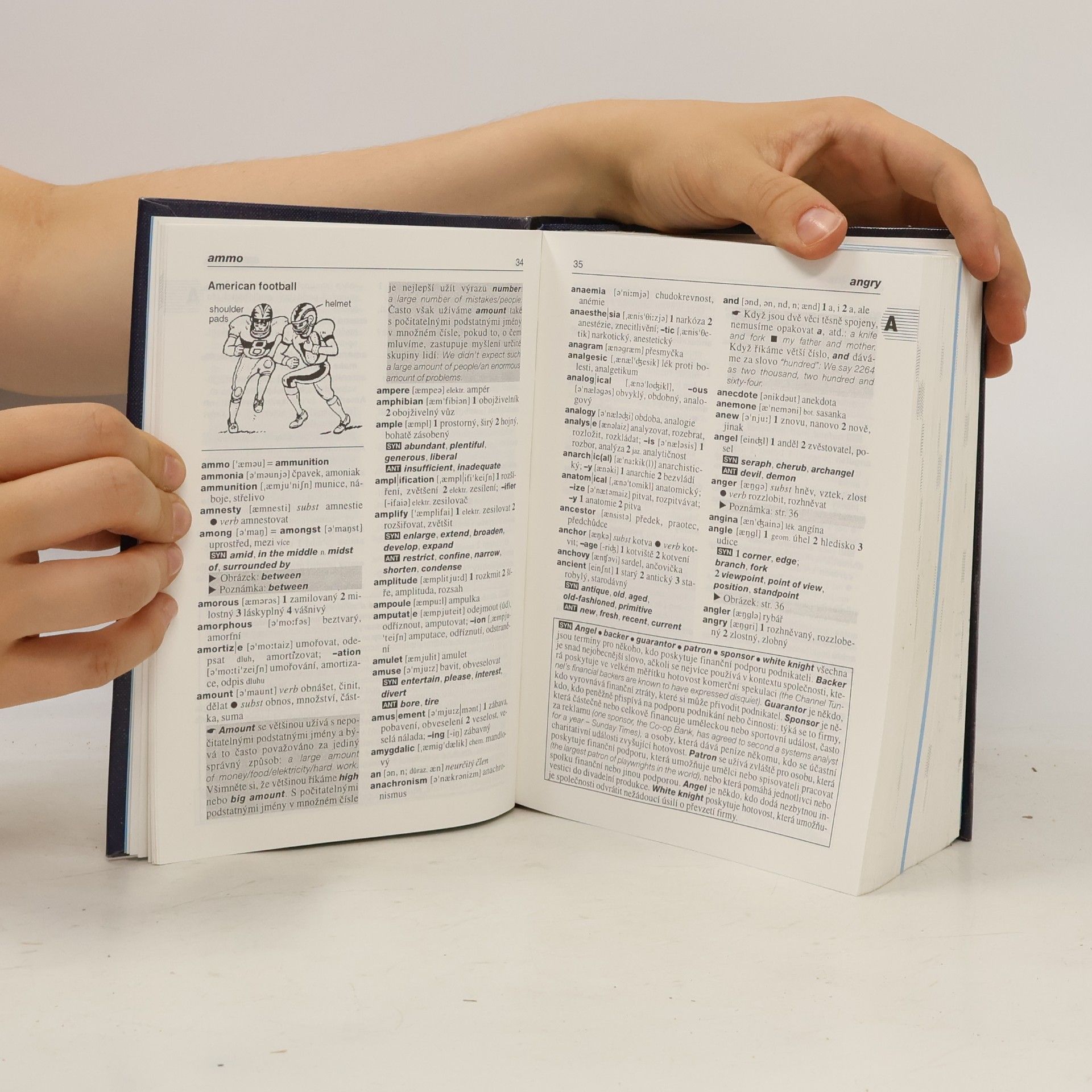 Autorenkollektiv Anglicko-český, česko-anglický slovník