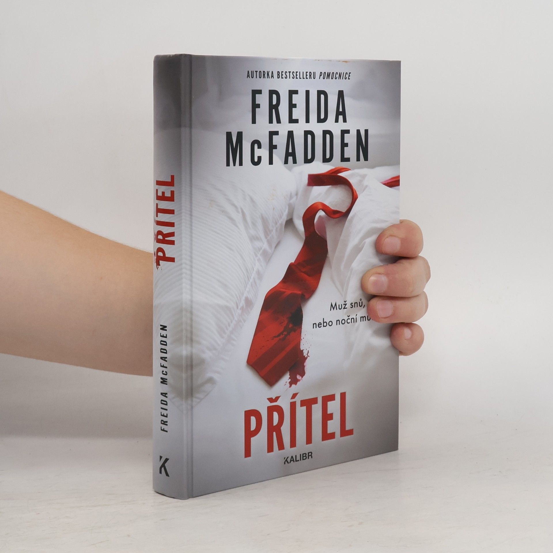 Freida McFadden Přítel