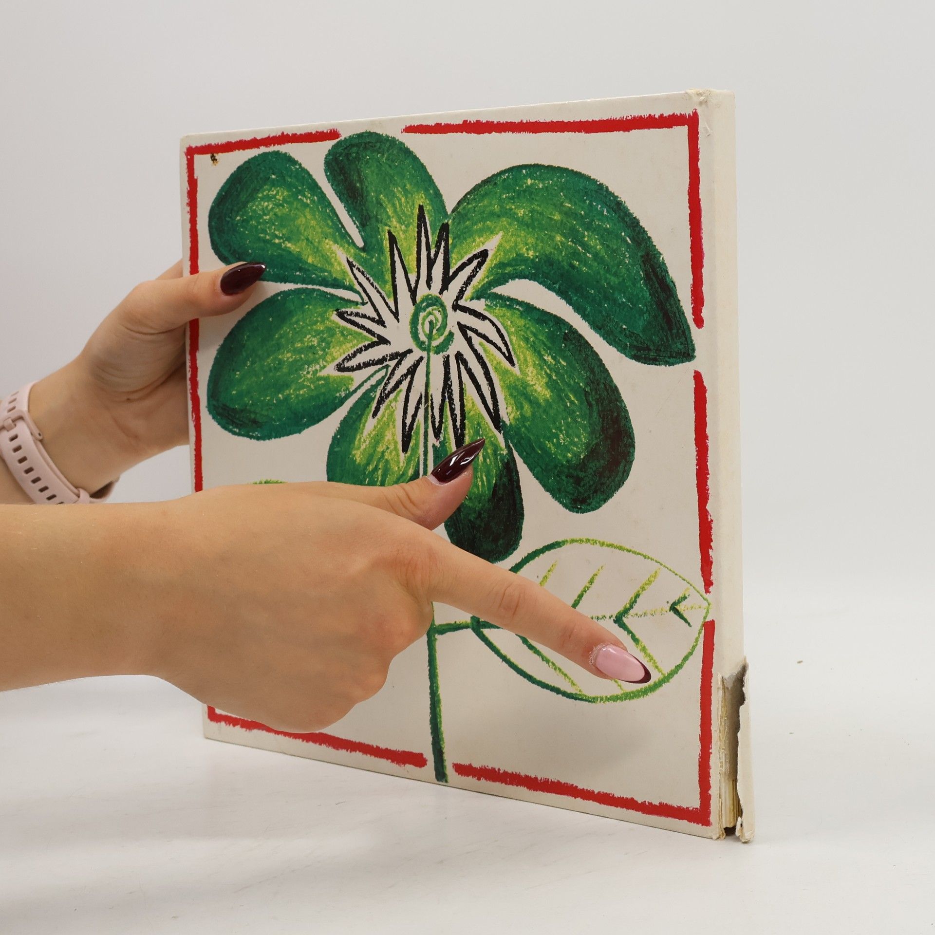 Lorenza Stucchi Giochiamo con i fiori