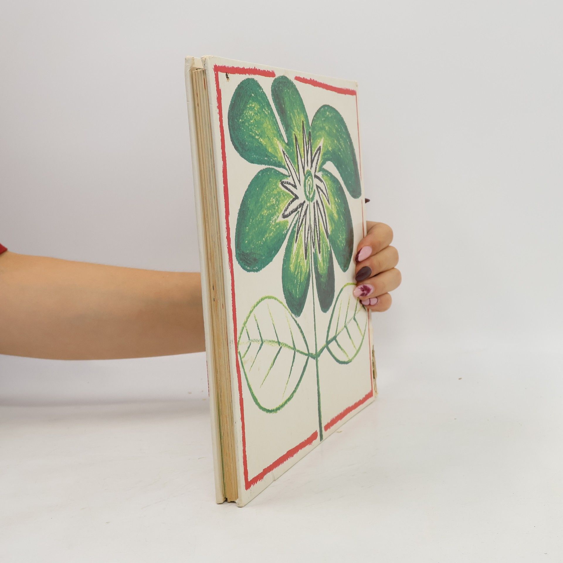 Lorenza Stucchi Giochiamo con i fiori