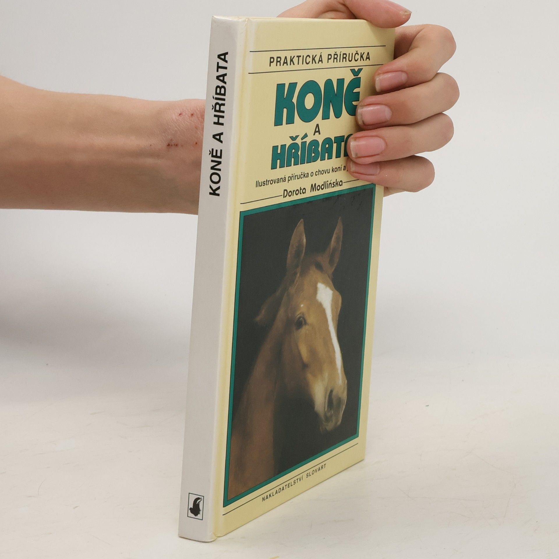 Koně a hříbata. Ilustrovaná příručka o chovu koní a jezdectví