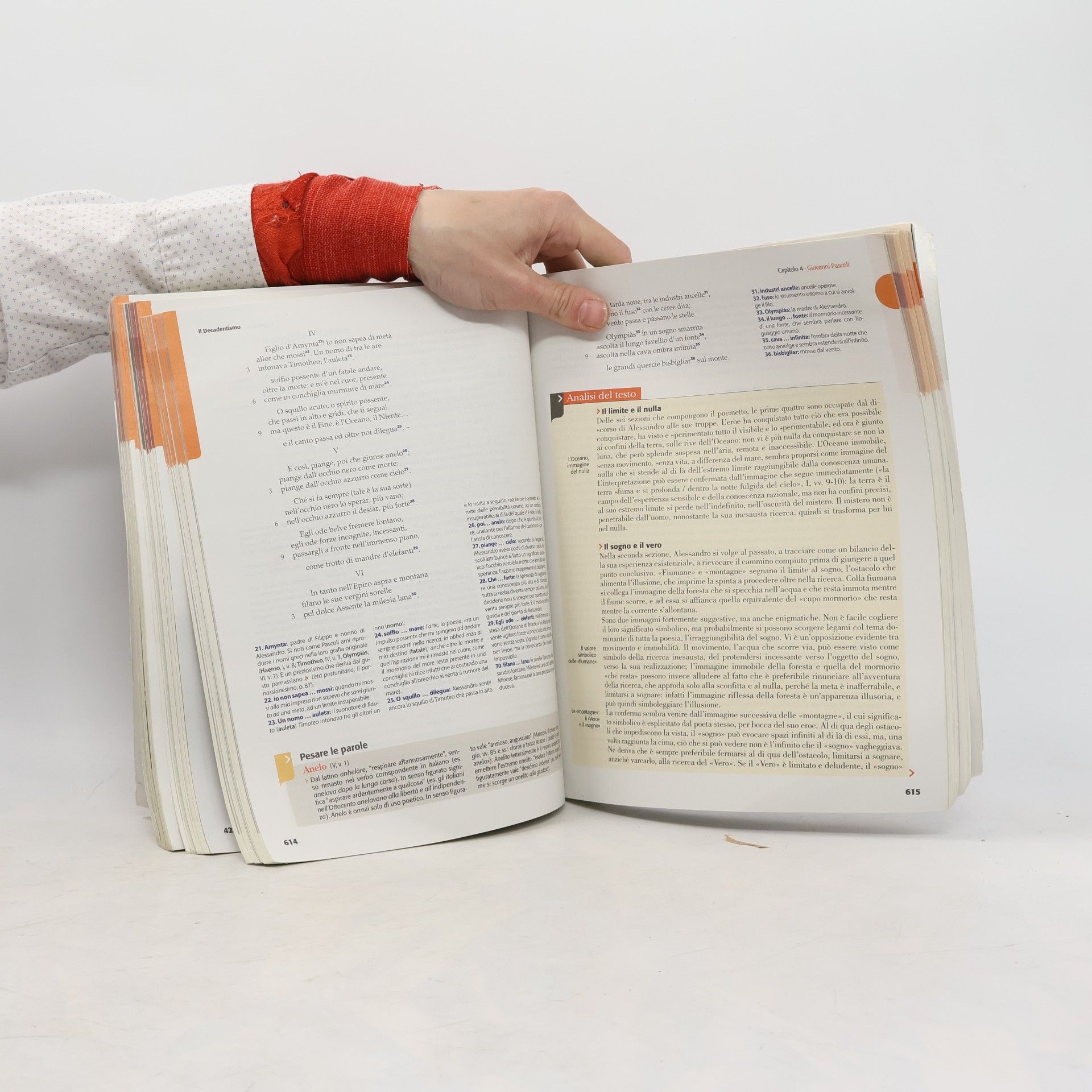 Autorenkollektiv I classici nostri contemporanei