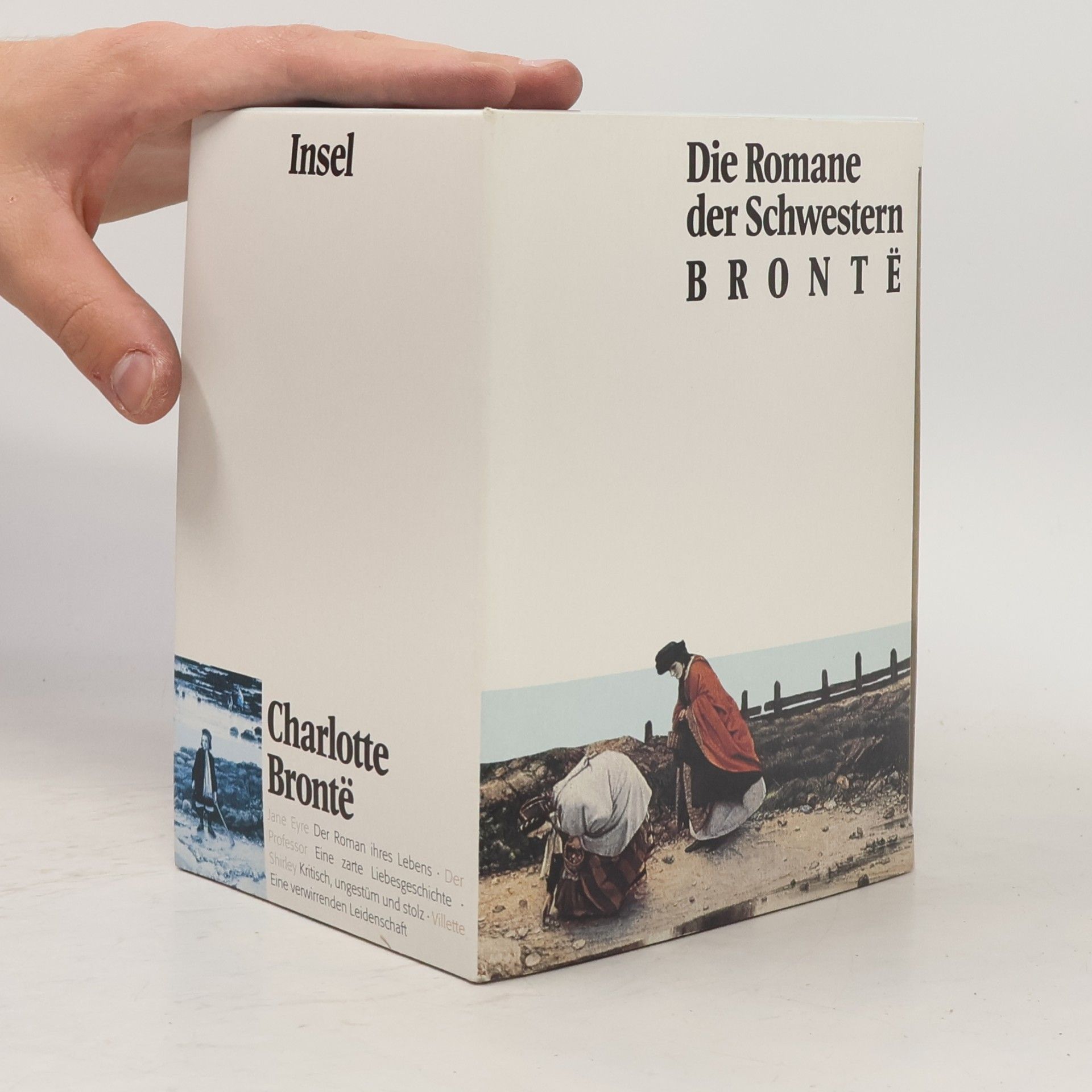 Anne Brontë Die Romane der Schwestern Bronte (6 svazků)