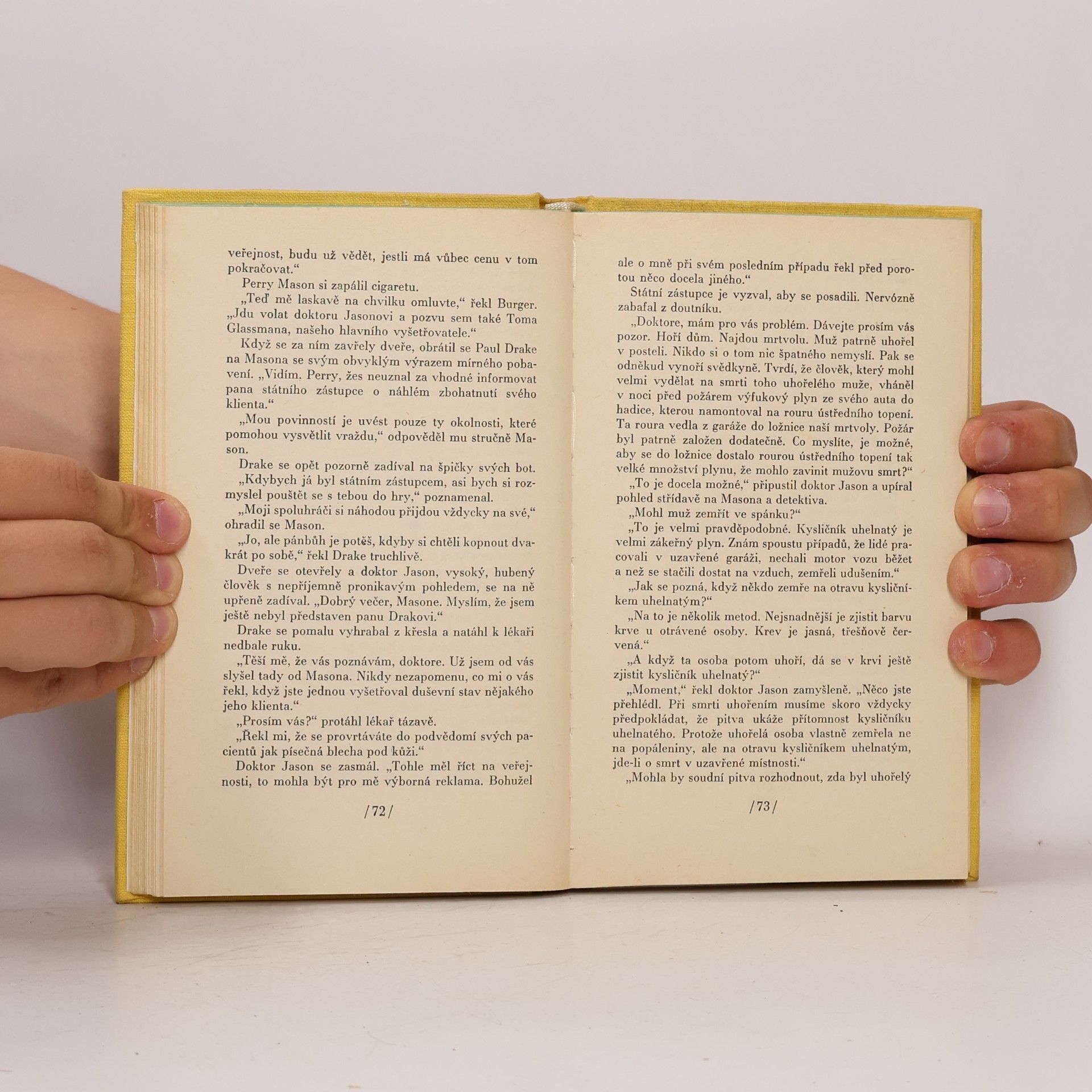 Erle Stanley Gardner Případ domovníkovy kočky