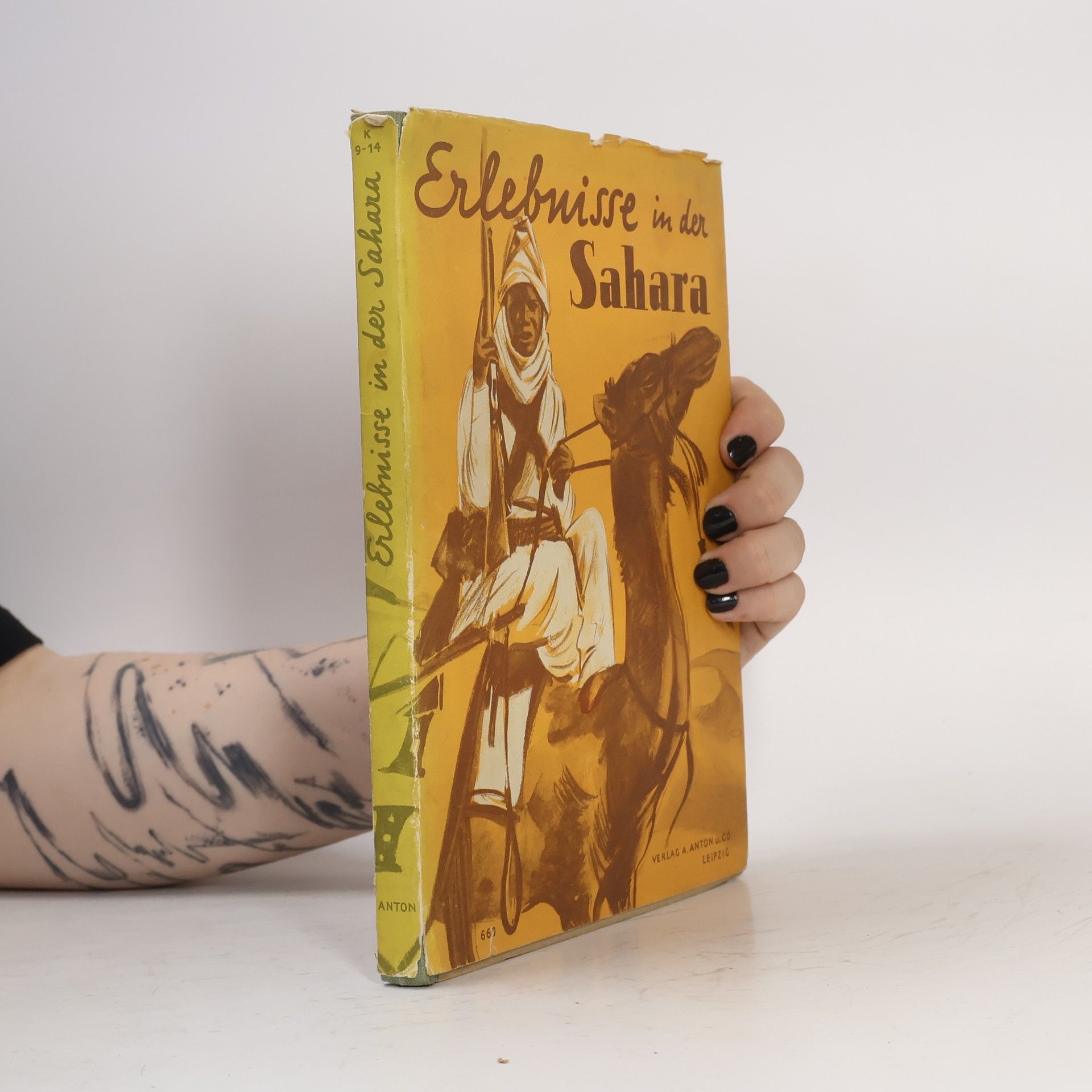 Collectif d'auteurs Erlebnisse in der Sahara und andere Erzählungen