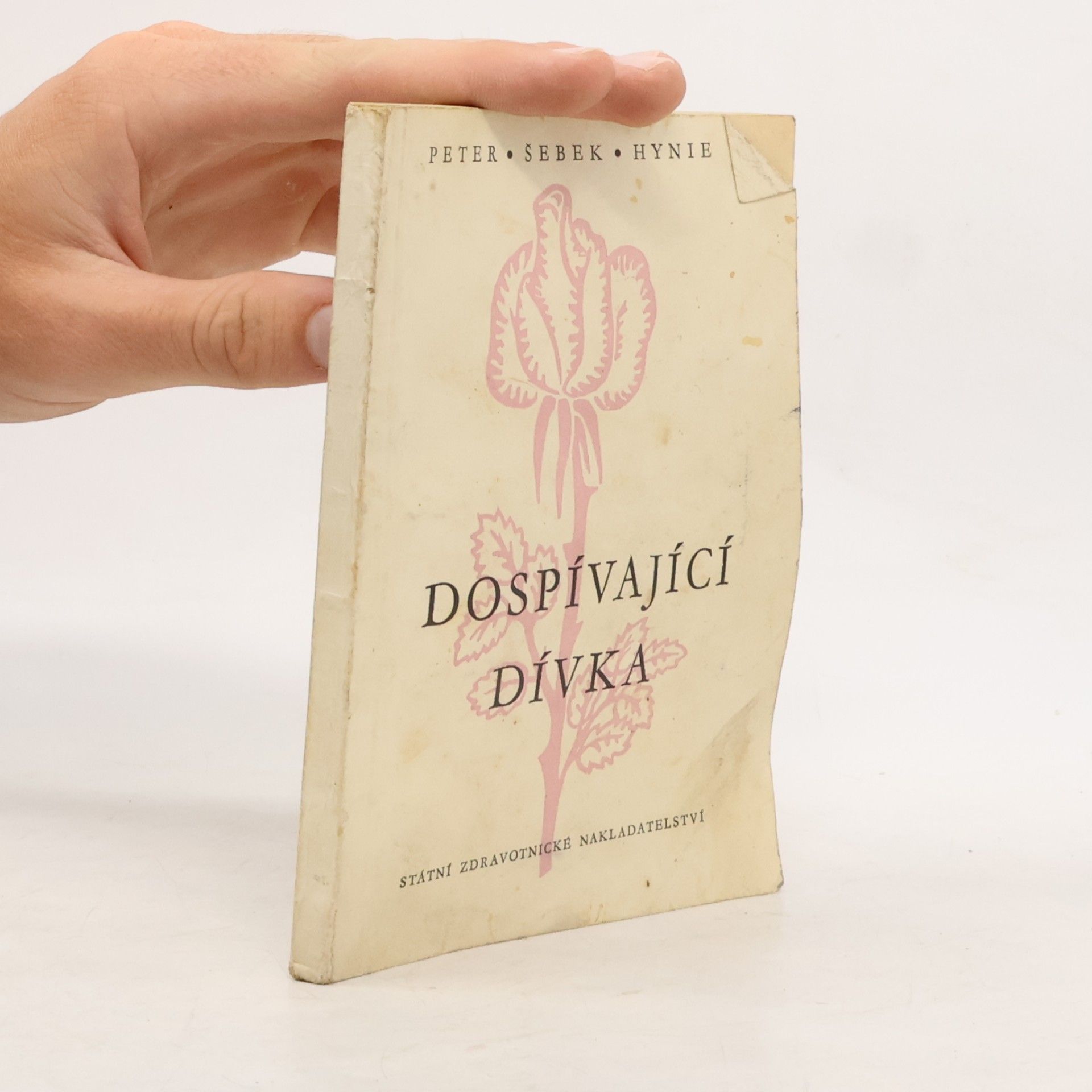 Josef Hynie Dospívající dívka
