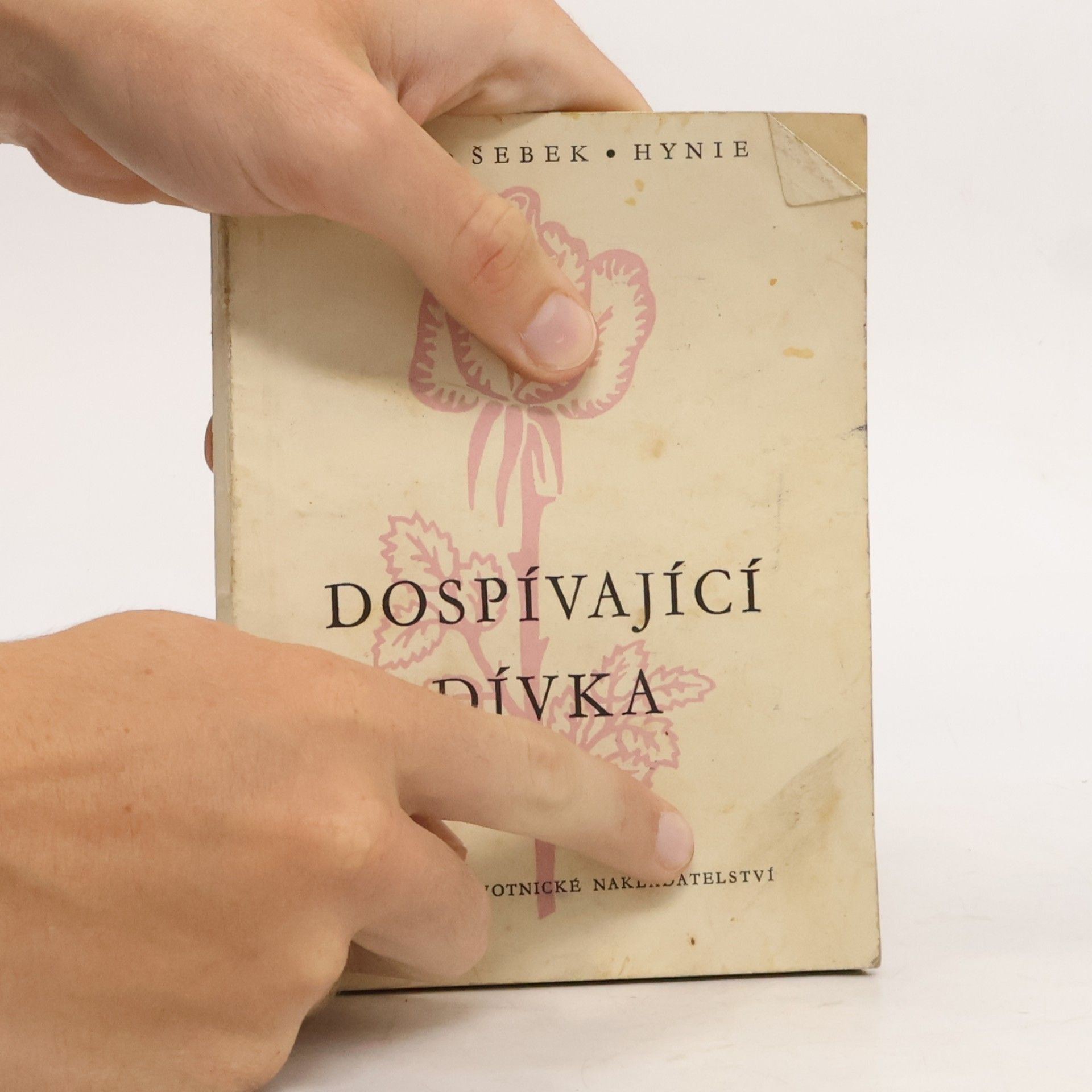 Josef Hynie Dospívající dívka