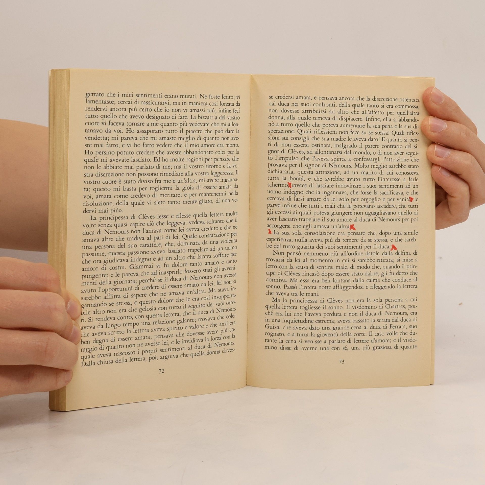 Marie-Madeleine de La Fayette I grandi libri: La principessa di Clèves