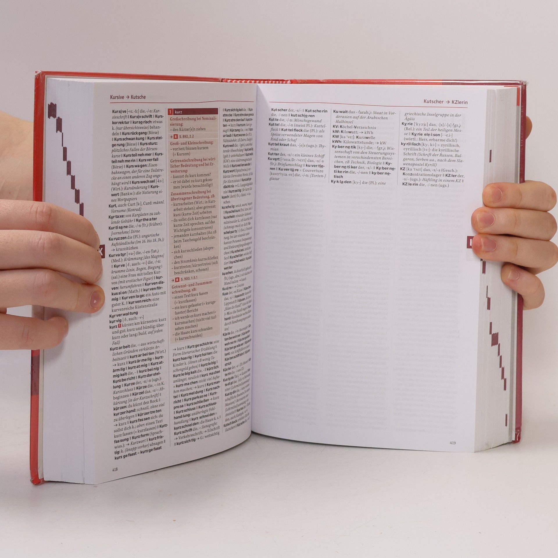 Ulrike Steiner Österreichisches Wörterbuch