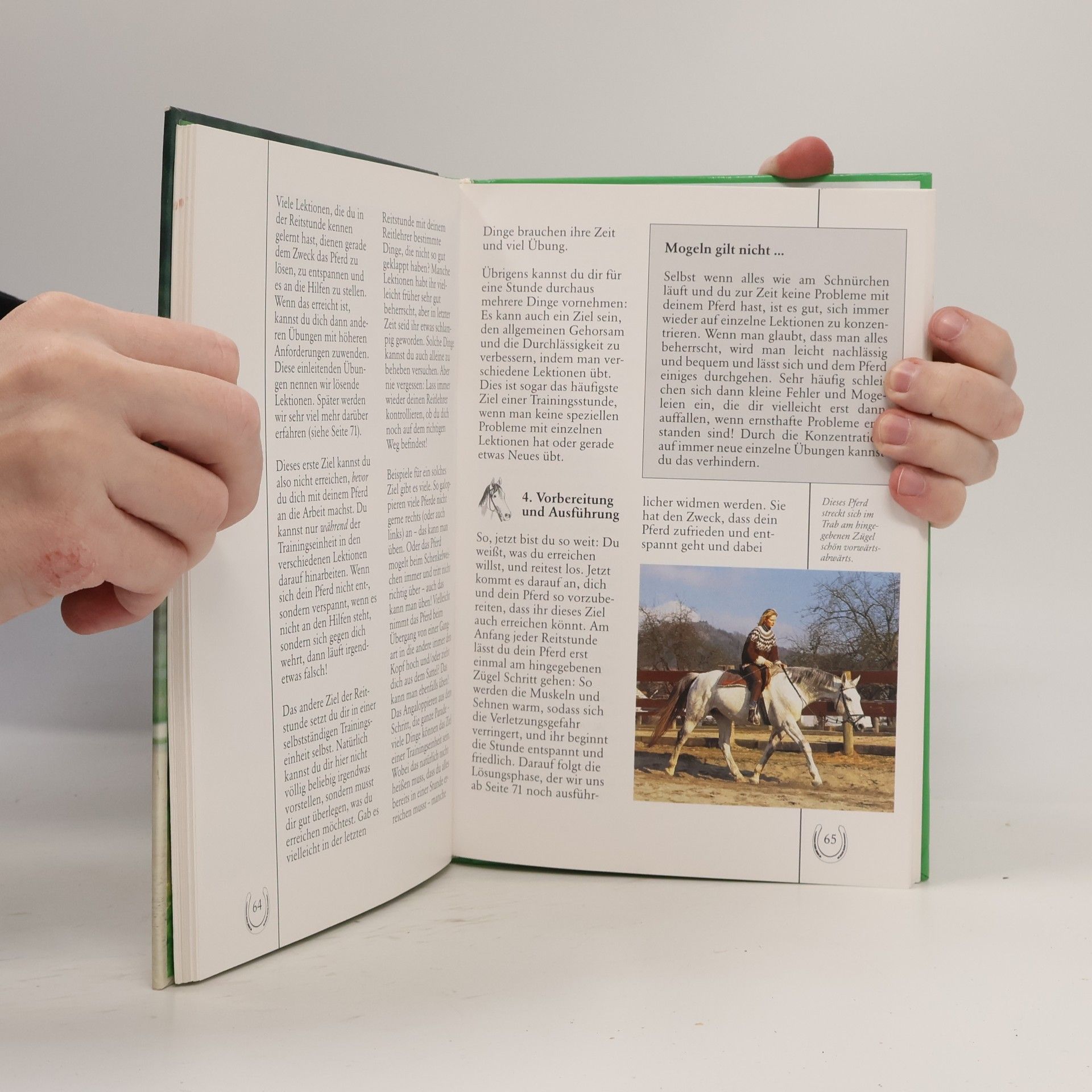 Britta Schön Besser reiten