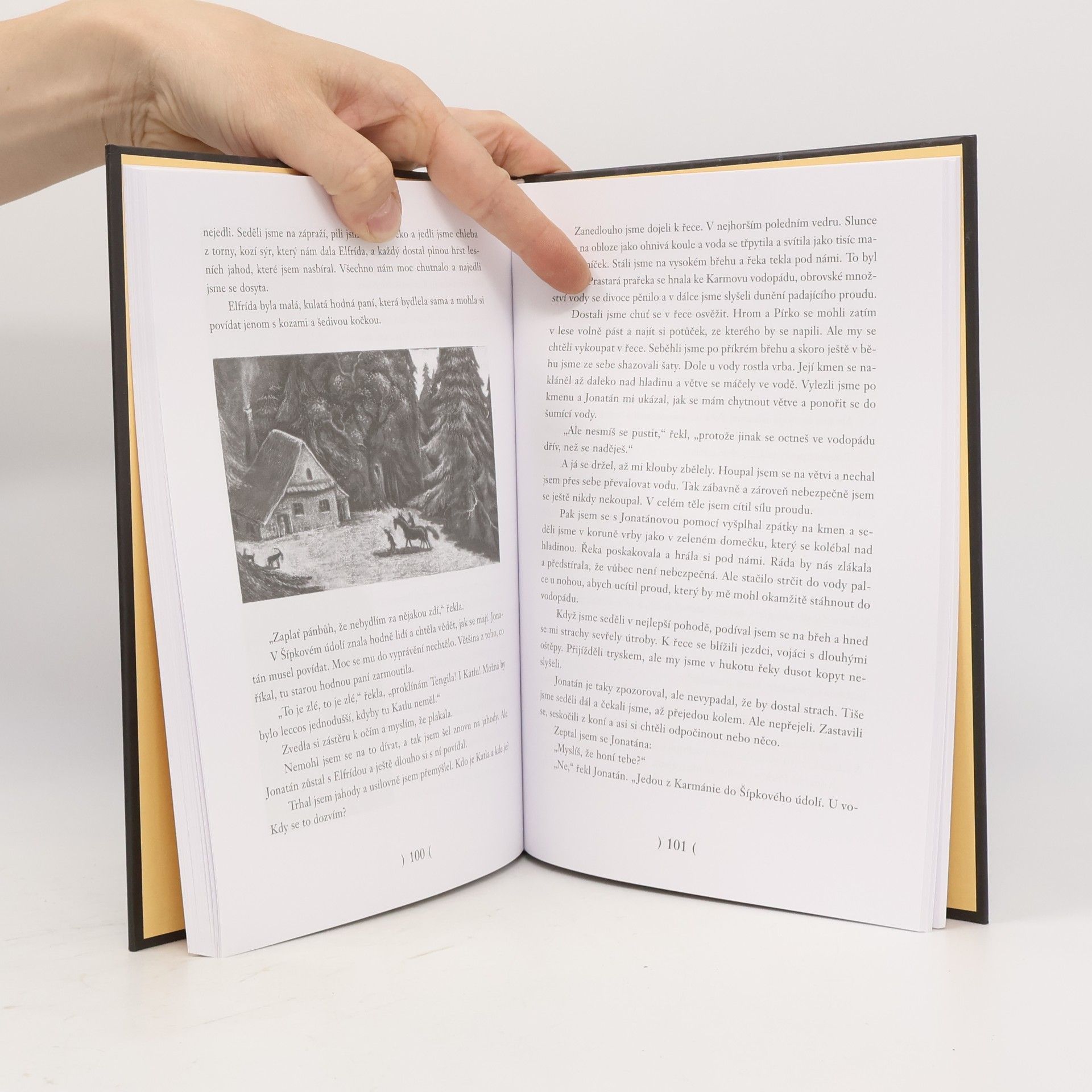 Astrid Lindgren Bratři Lví srdce