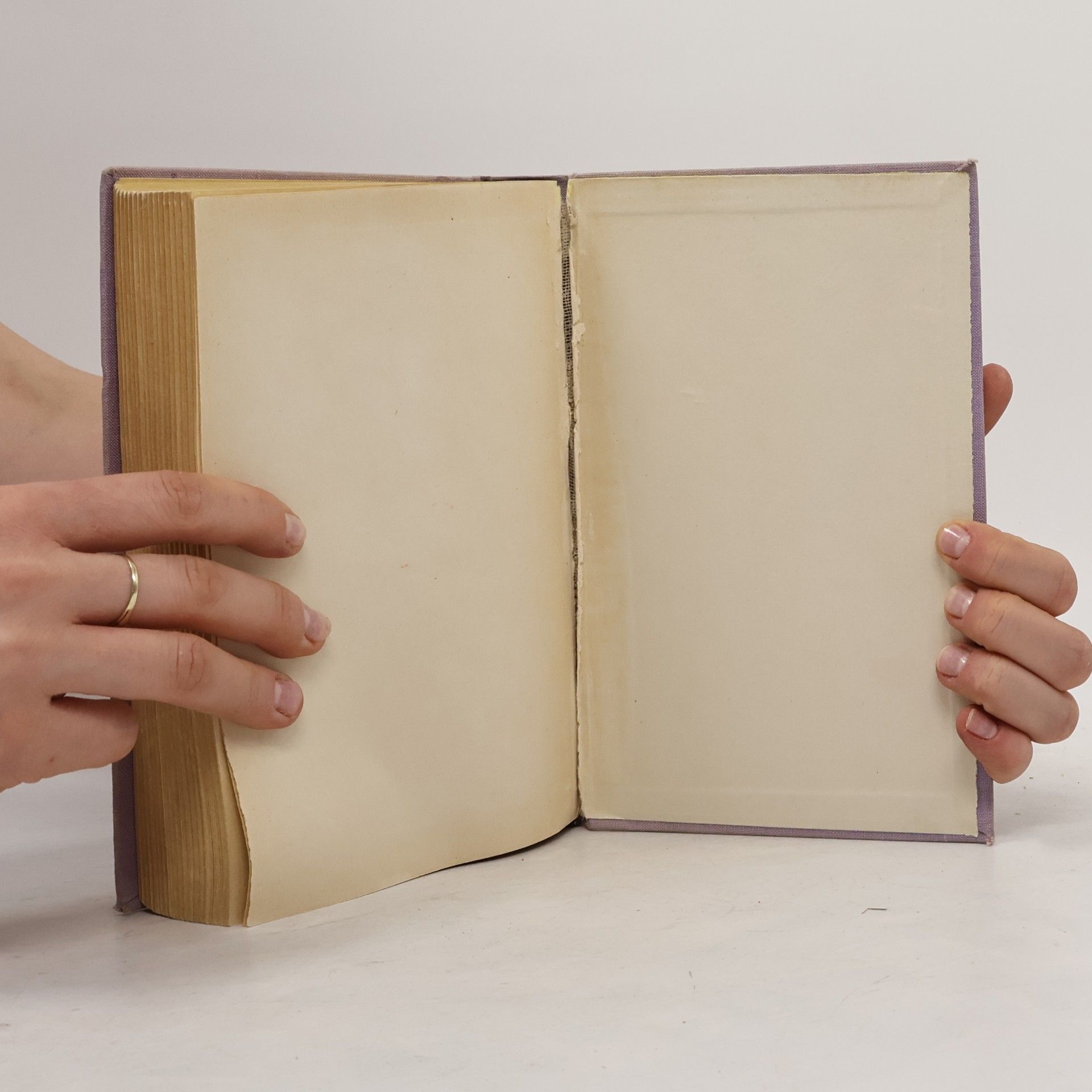 Margaret Mitchell Odviate vetrom I
